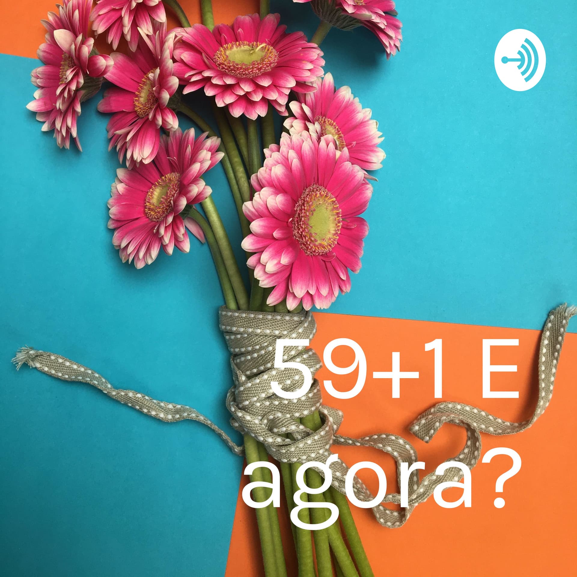 59+1 - Podcasts