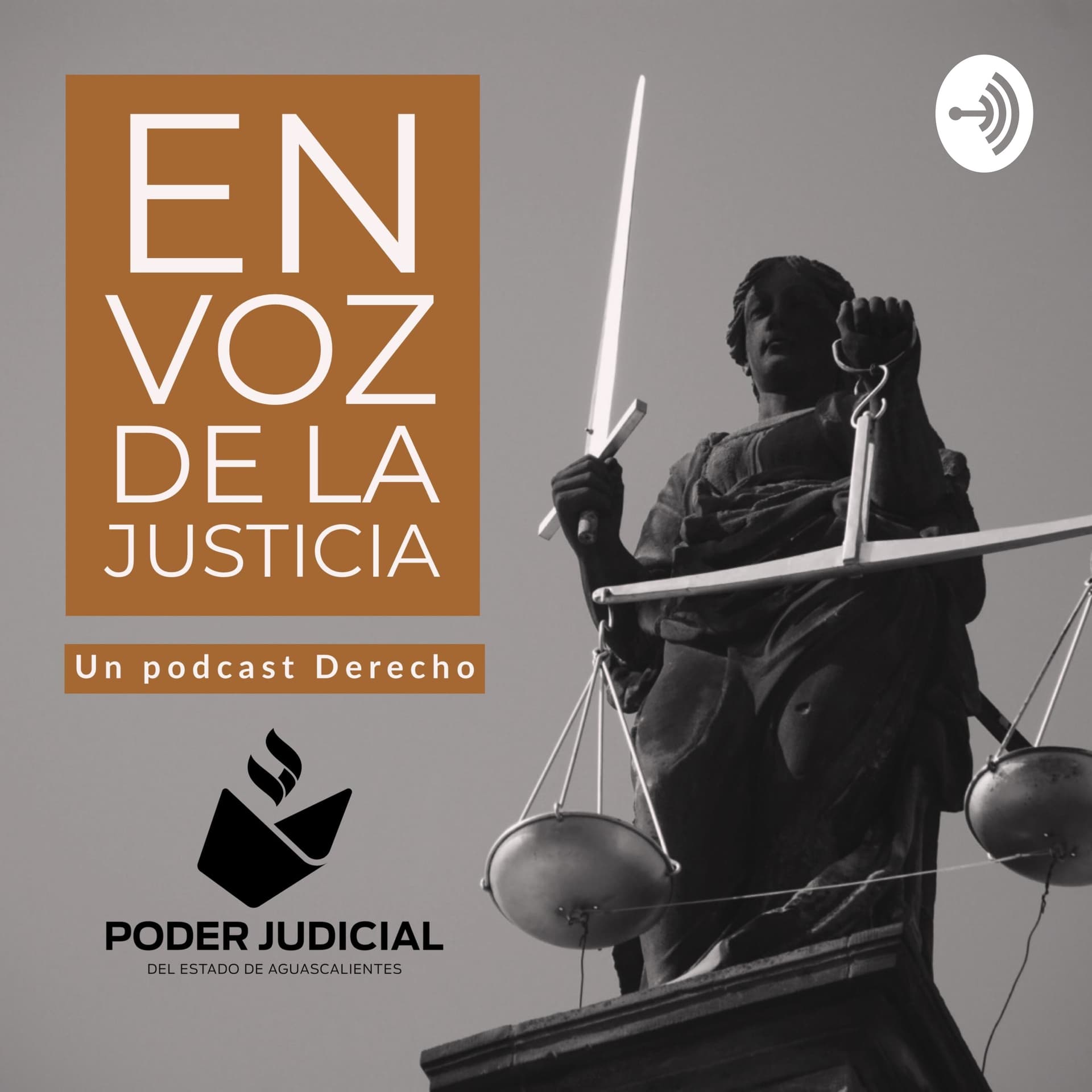 En voz de la justicia - Podcasts