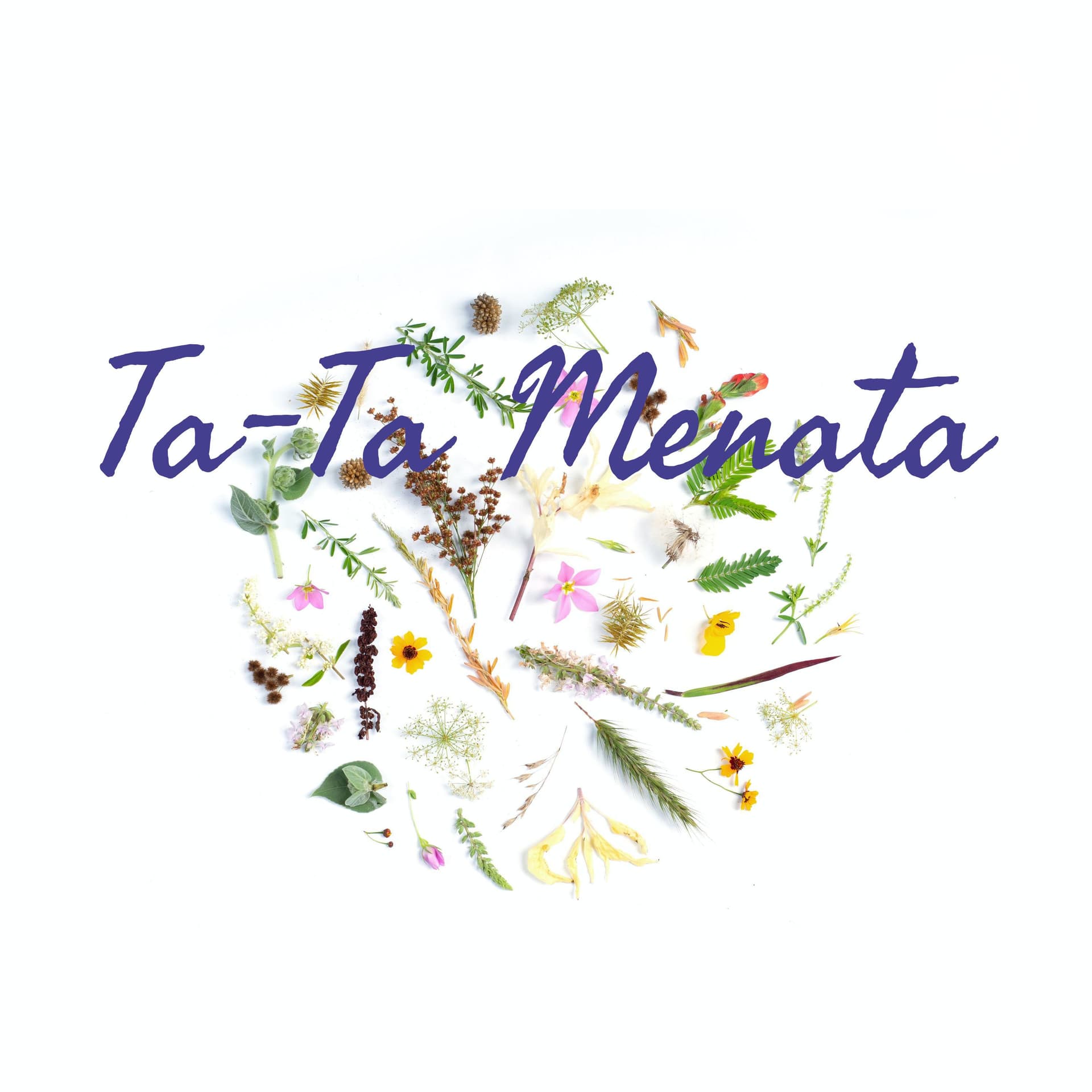 Ta–Ta Menata - Podcasts