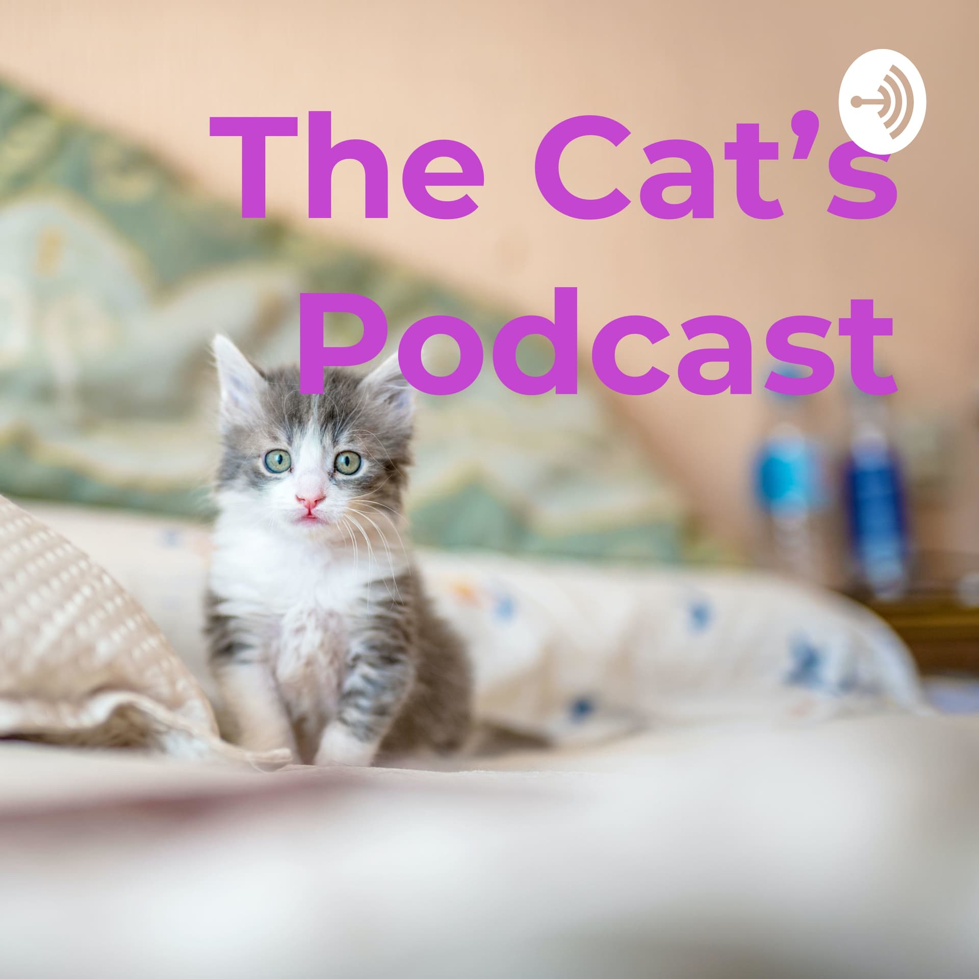 The Cats Podcast - Podcasts