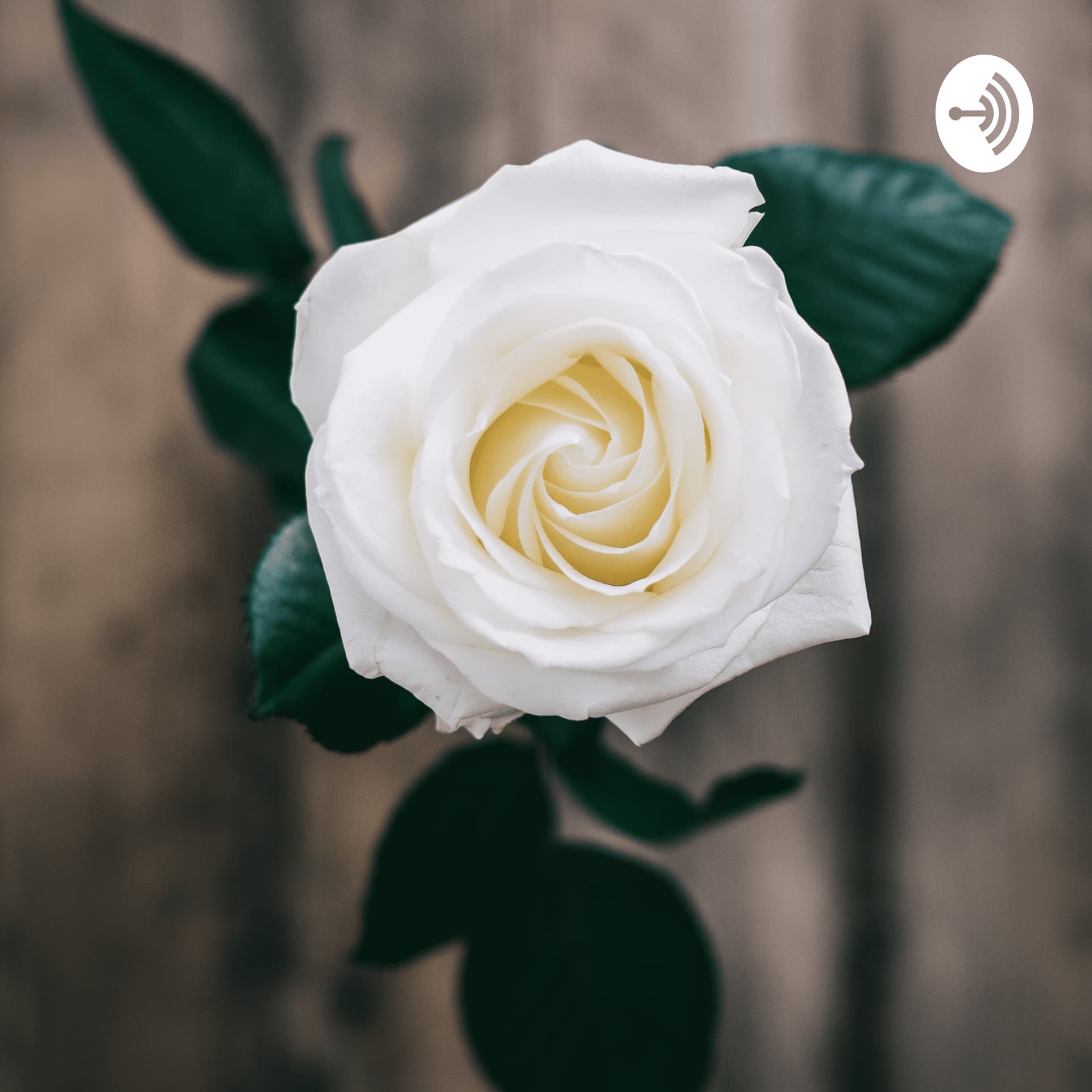 Tiiaraa_Channel - Podcasts