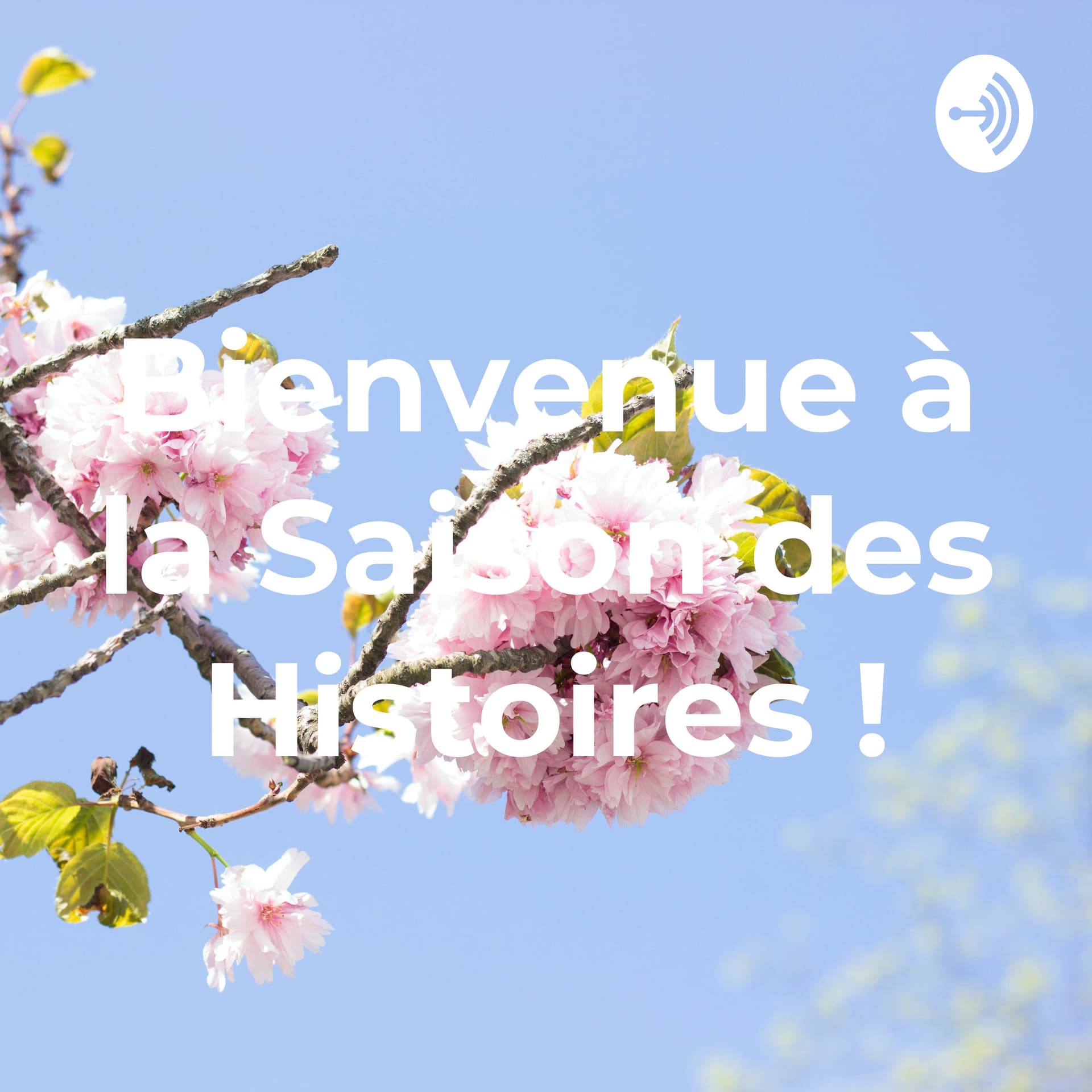 Bienvenue à la Saison des Histoires ! - Podcasts