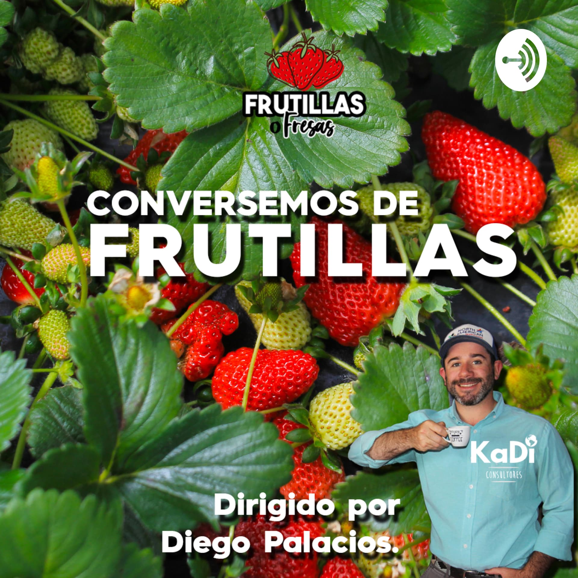 Frutillas o Fresas - Podcasts