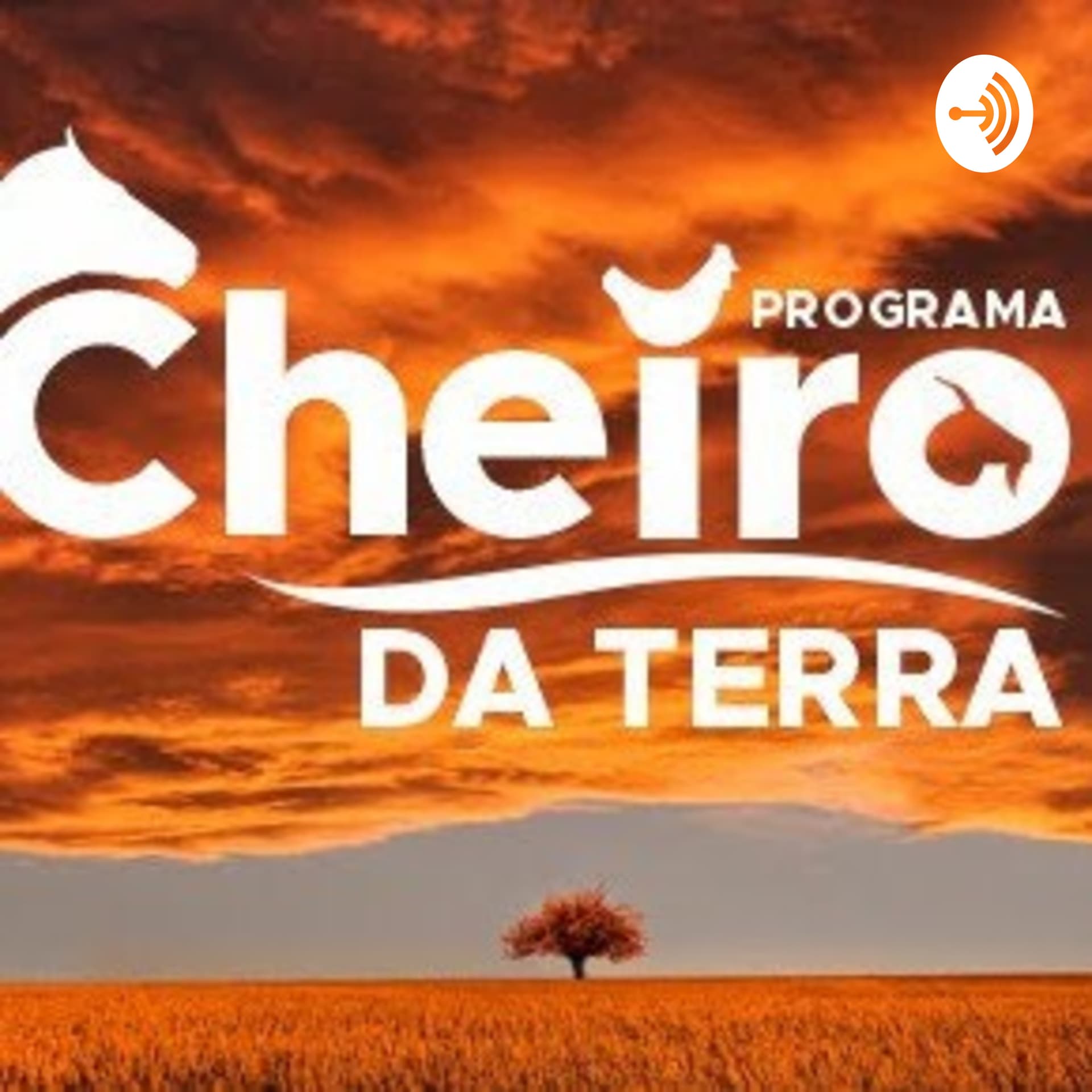 Tv Cheiro Da Terra - Podcasts
