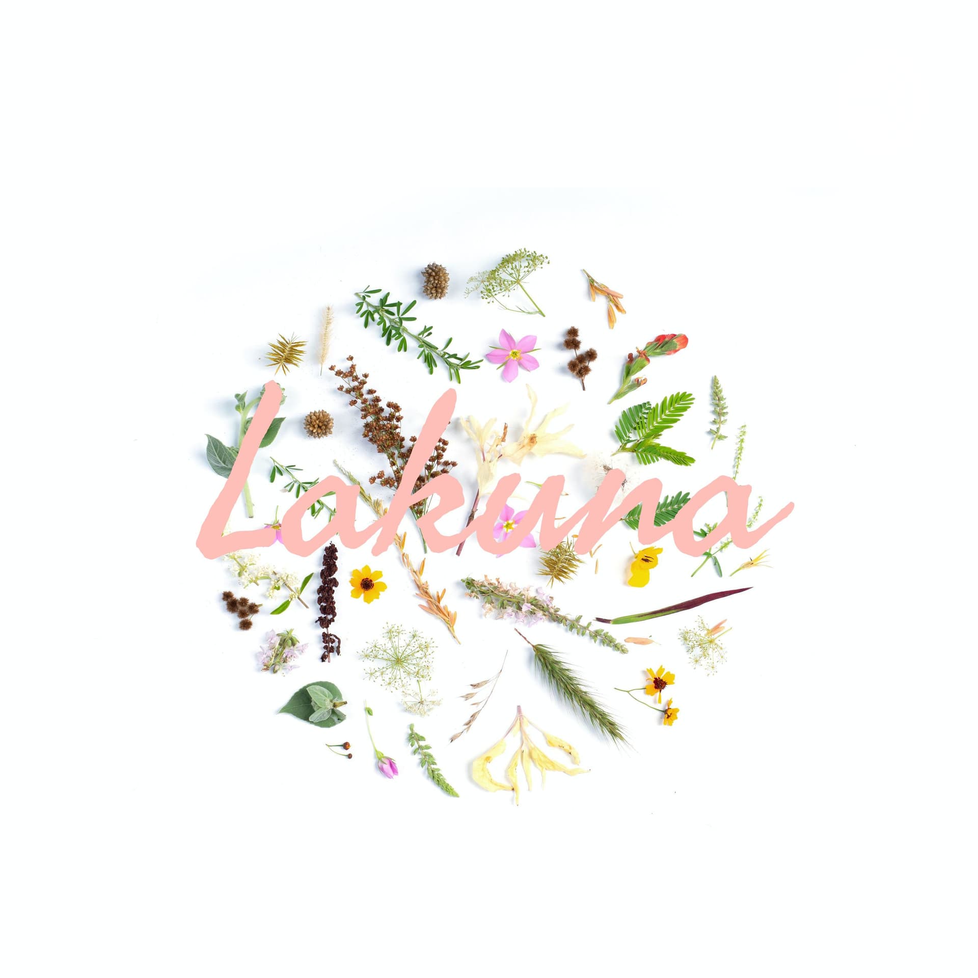 Lakuna - Podcasts