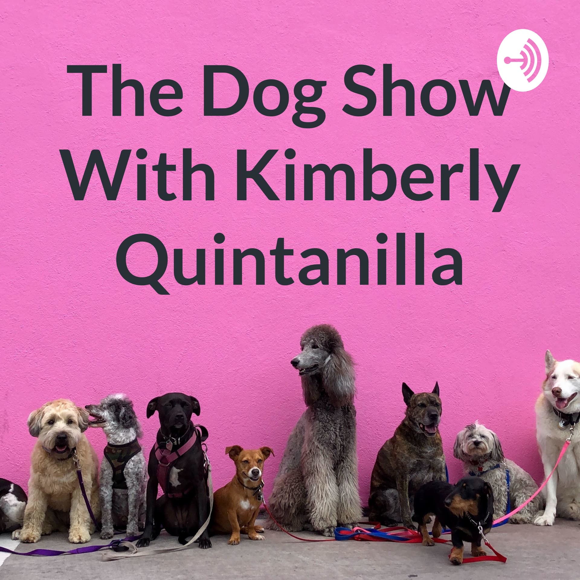 The Dog Show With Kimberly Quintanilla - Podcasts