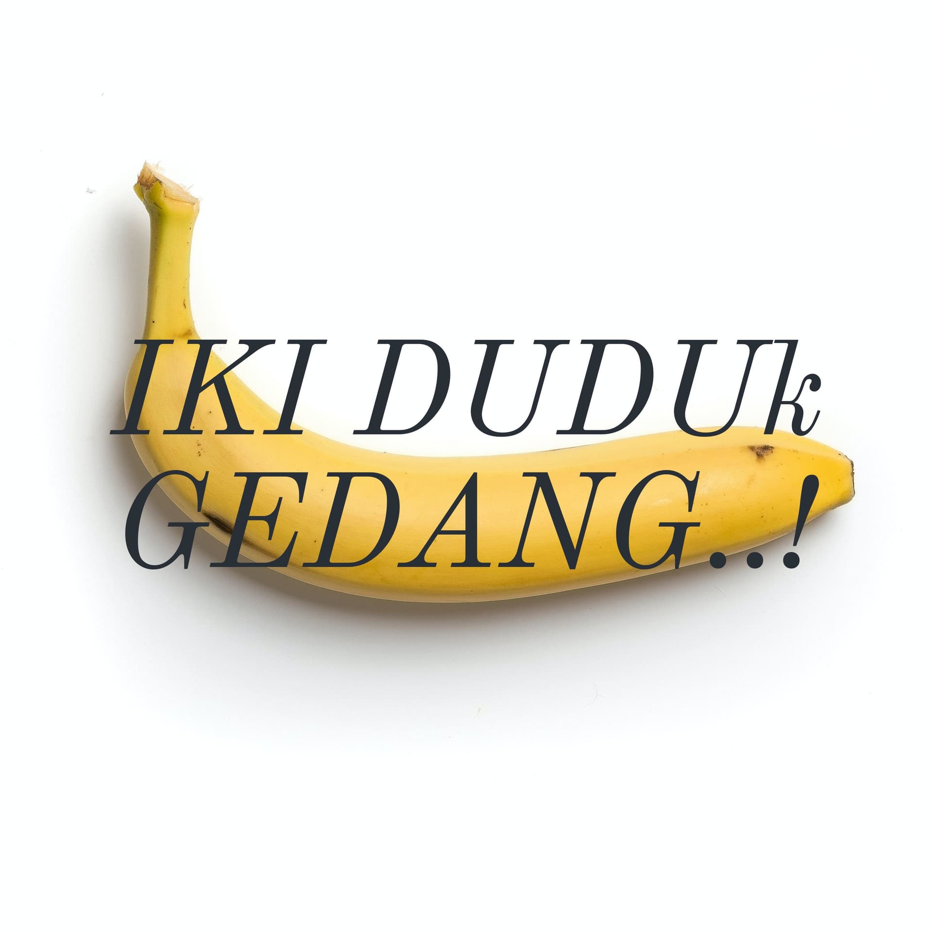 IKI DUDUk GEDANG..! - Podcasts