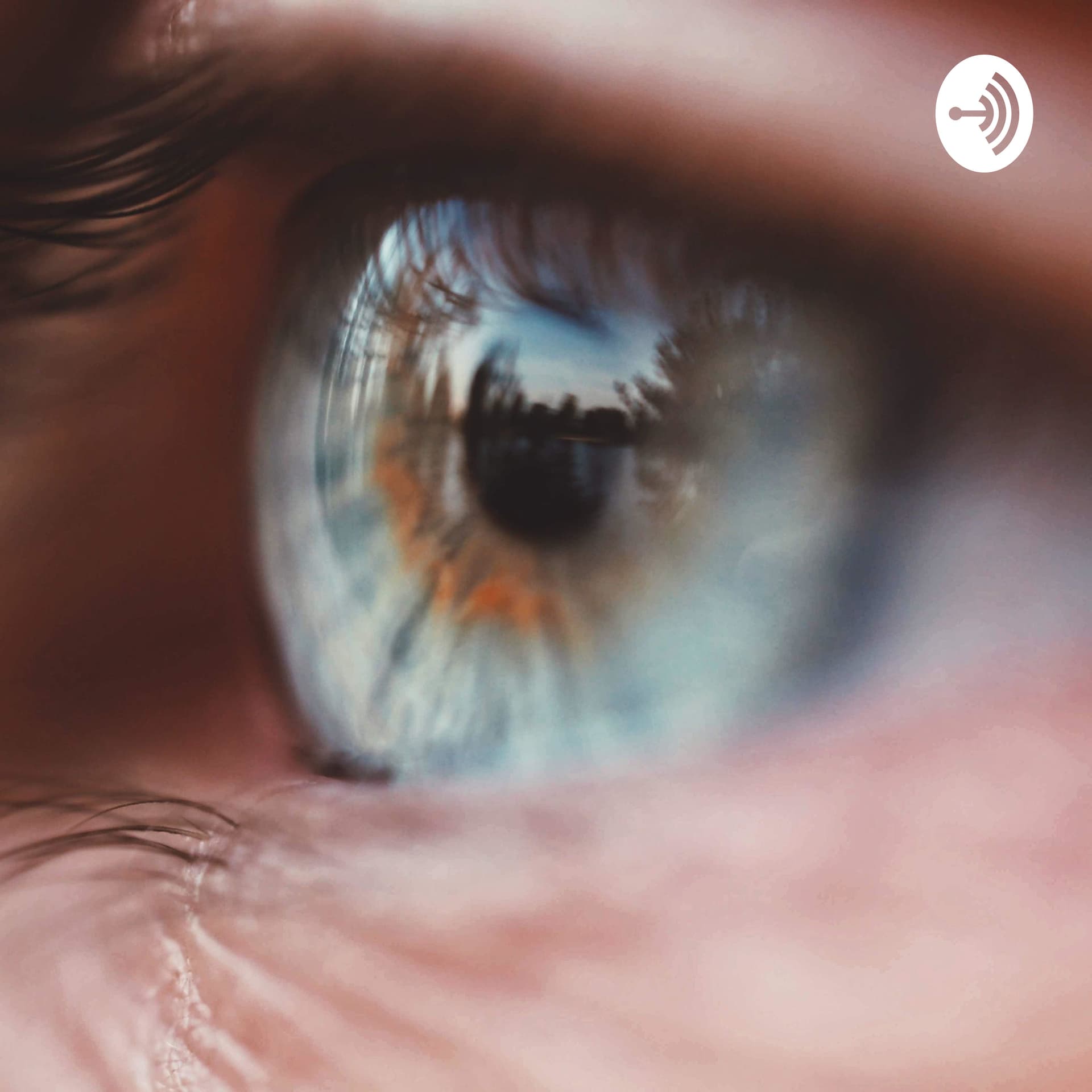 Ani Barrionuevo - Podcasts