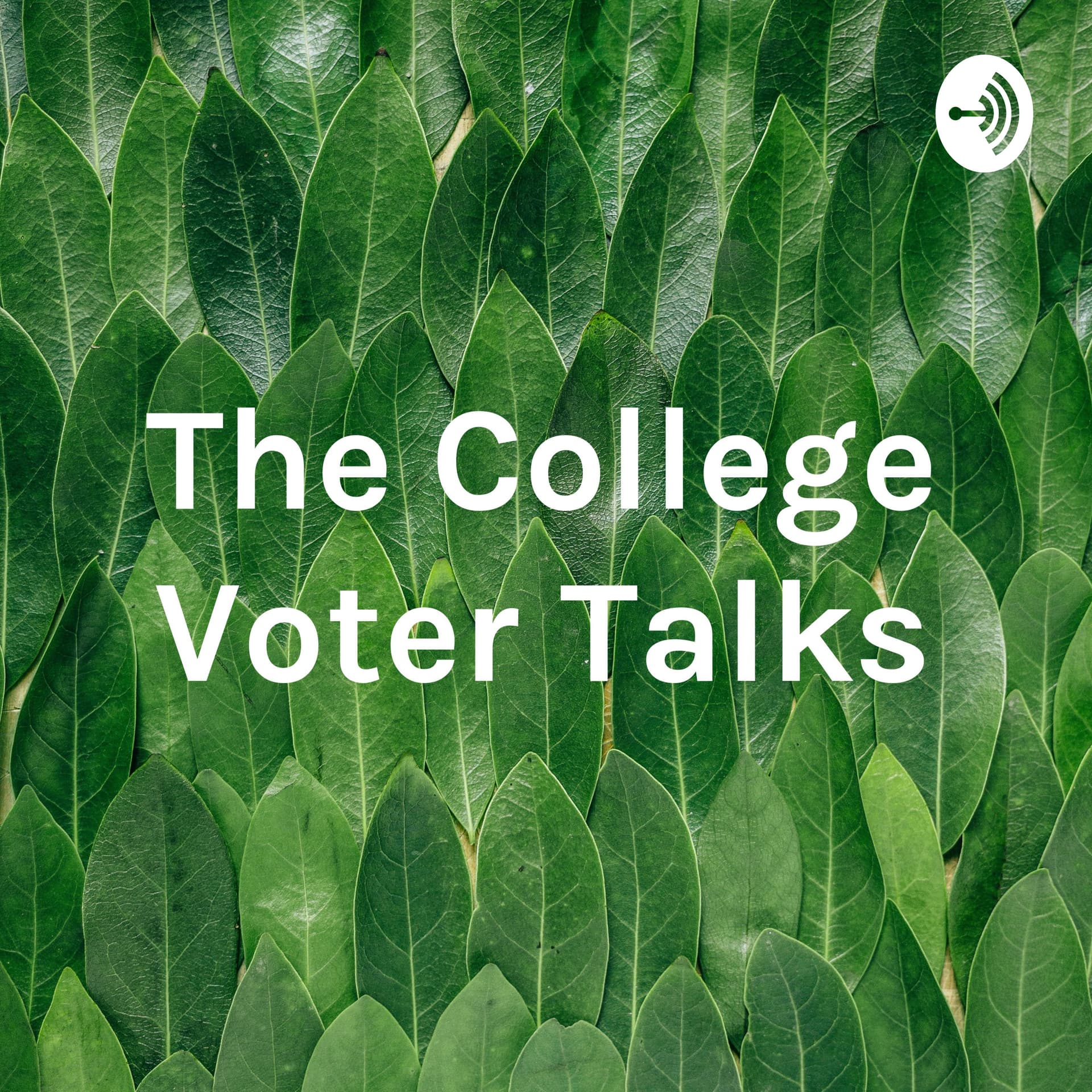 The College Voter Talks - Podcasts