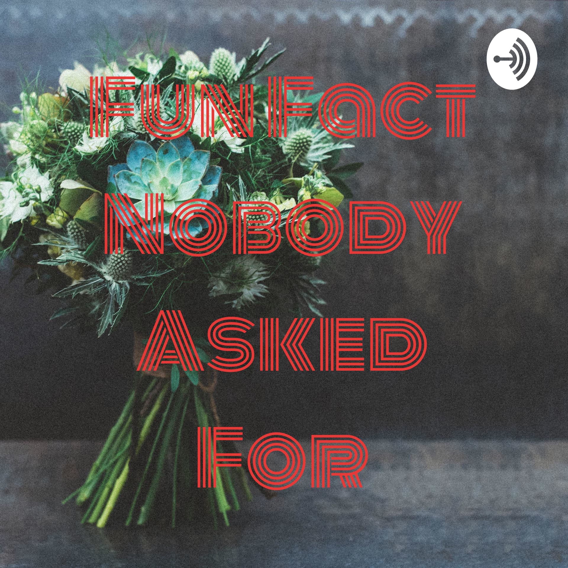 Fun Fact Nobody Asked For - Podcasts