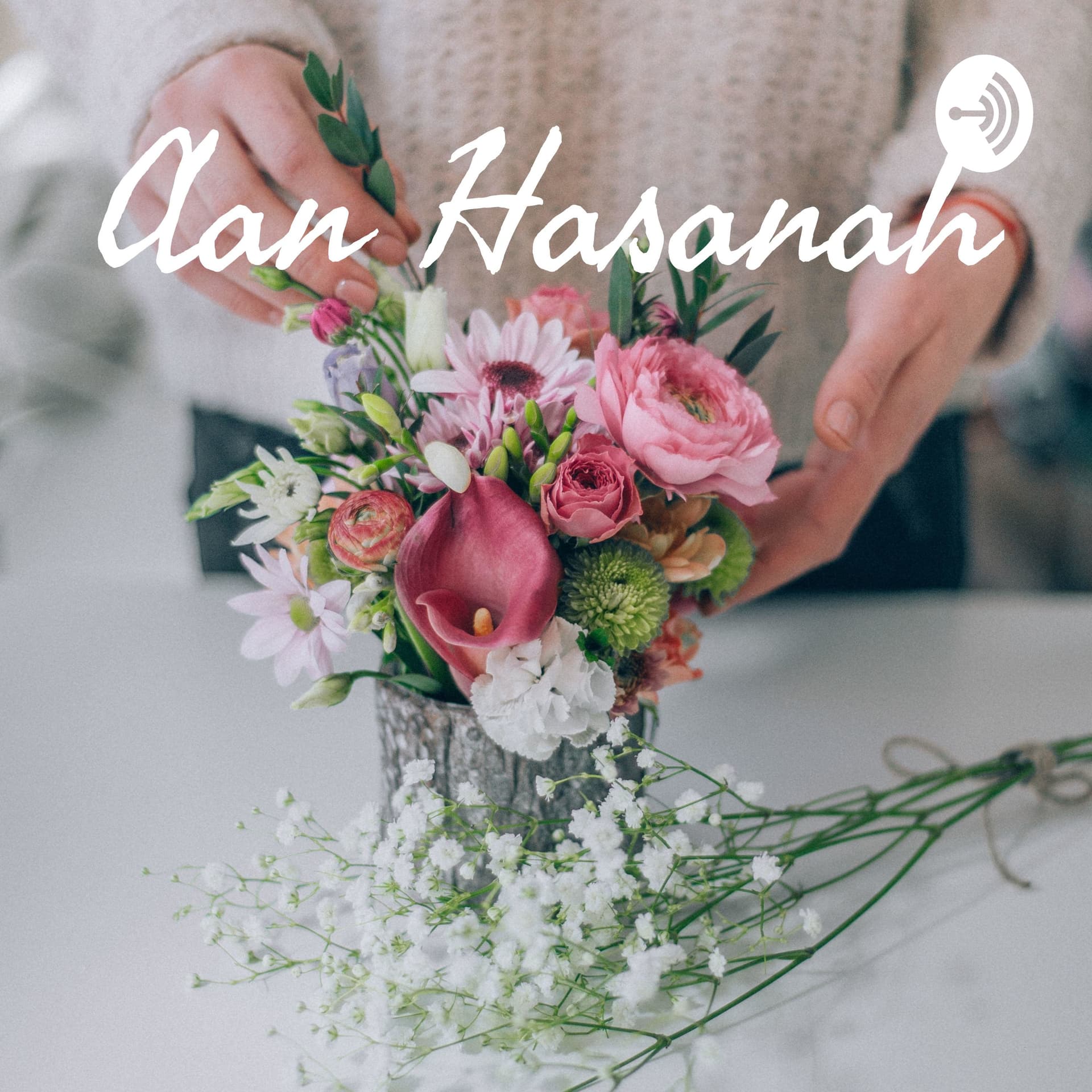 Aan Hasanah - Podcasts