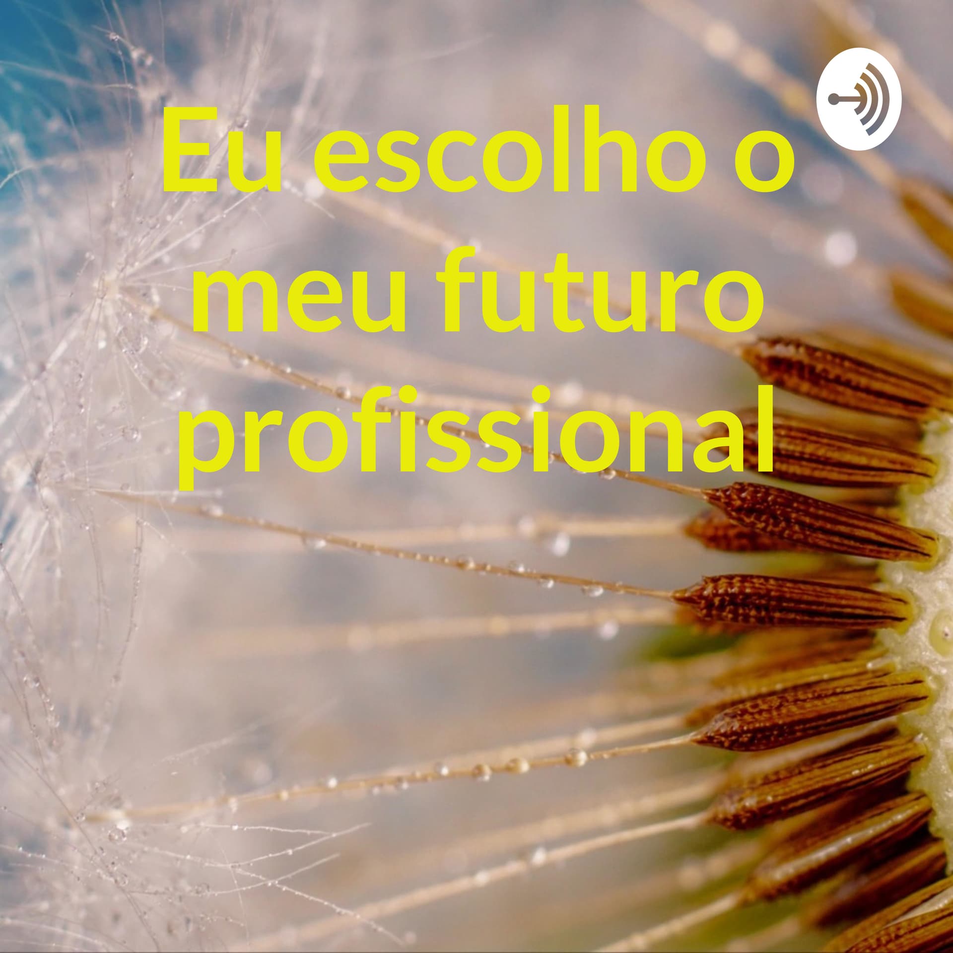 Eu escolho o meu futuro profissional - Podcasts