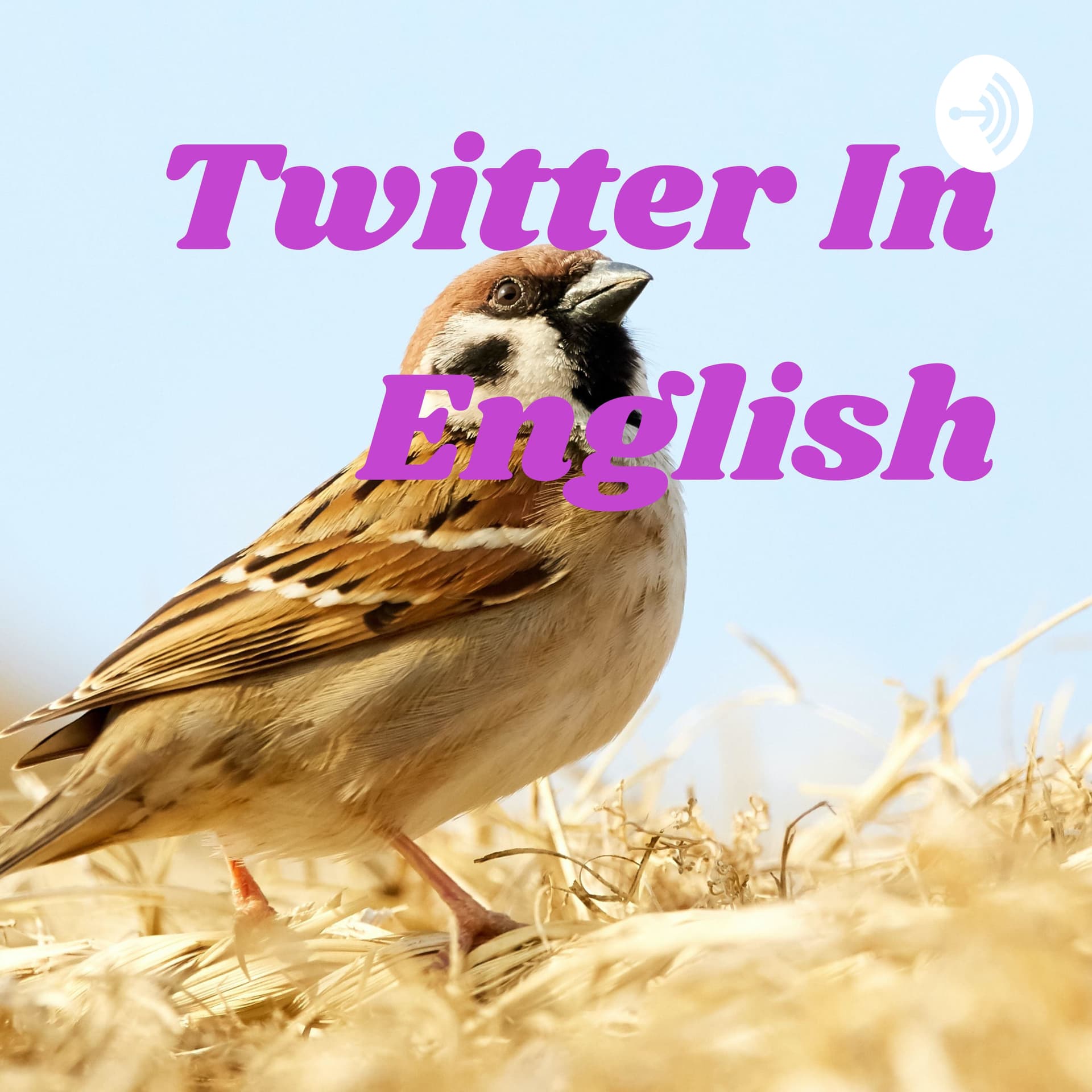 Twitter In English And Marathi - Podcasts