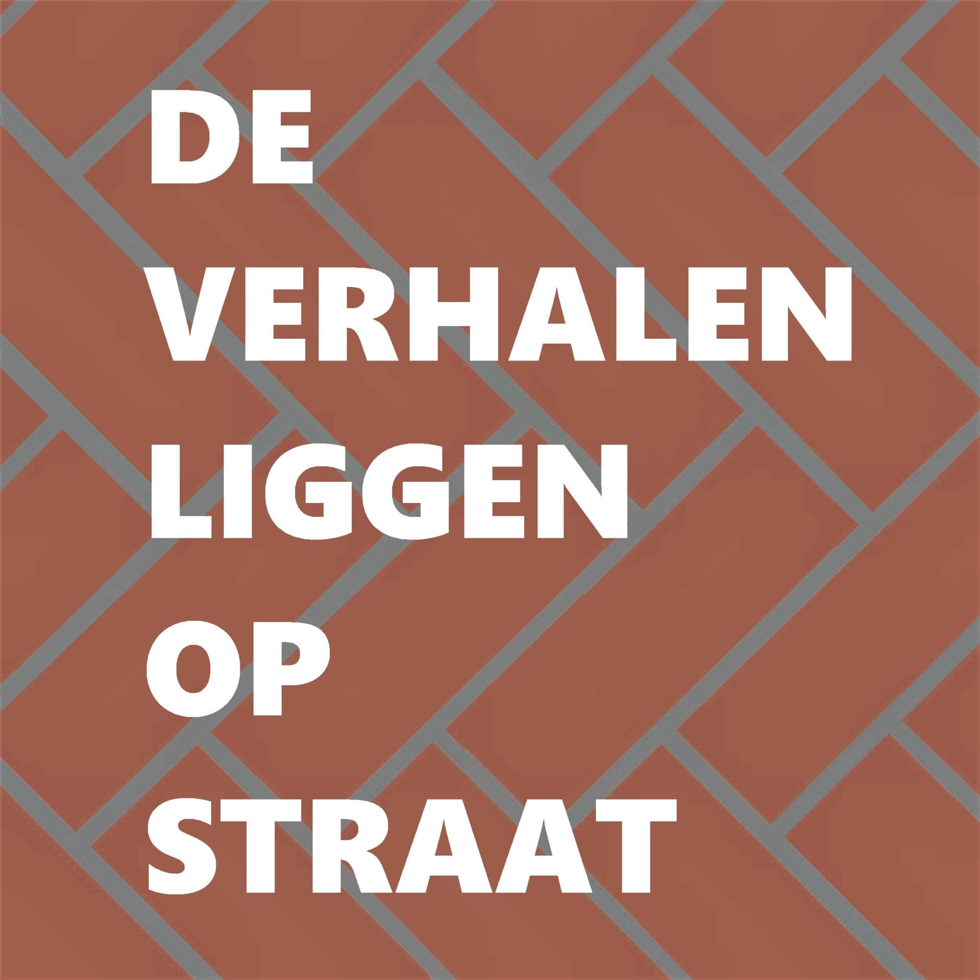 De verhalen liggen op straat - Podcasts