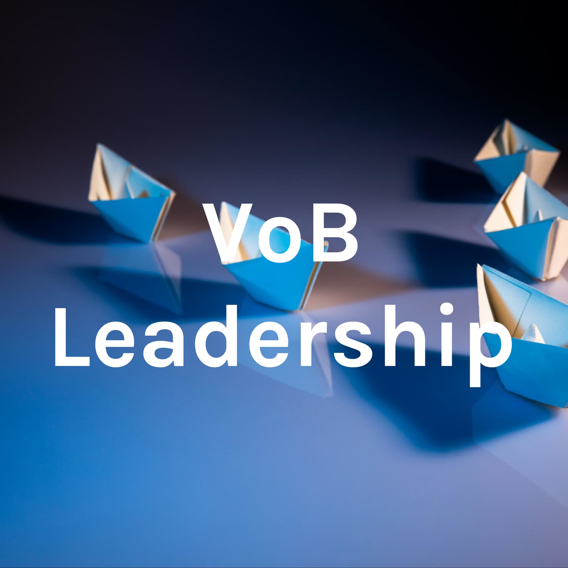 VoB Leadership - Podcasts