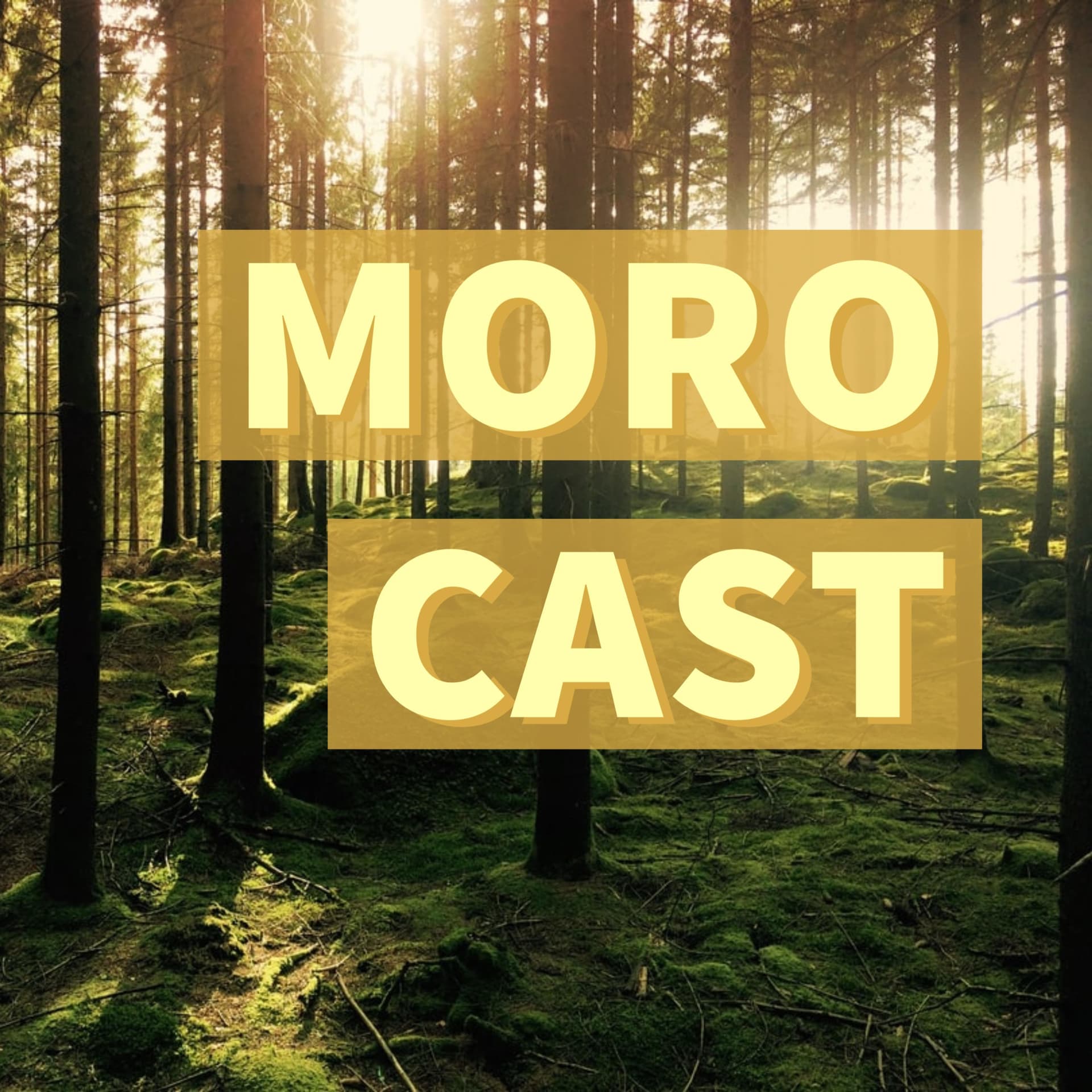 Morocast - Podcasts