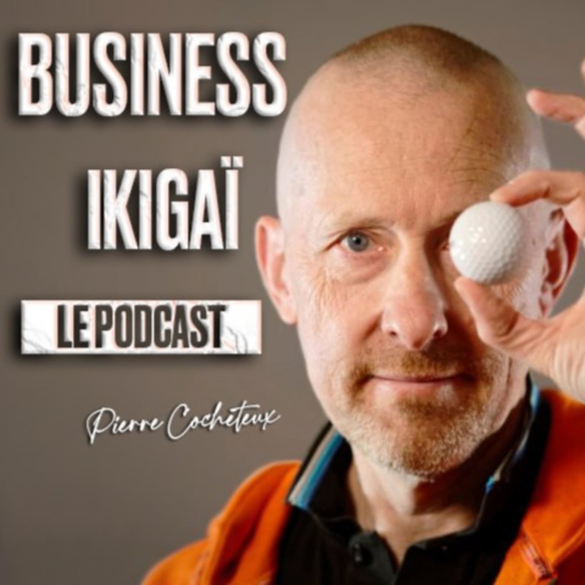 Pierre Cocheteux - Expert en Développement Commercial, Leadership et Motivation. - Podcasts