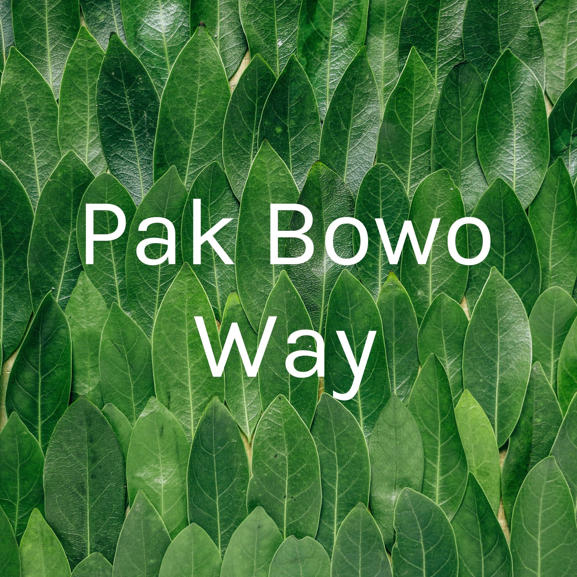Pak Bowo Way - Podcasts