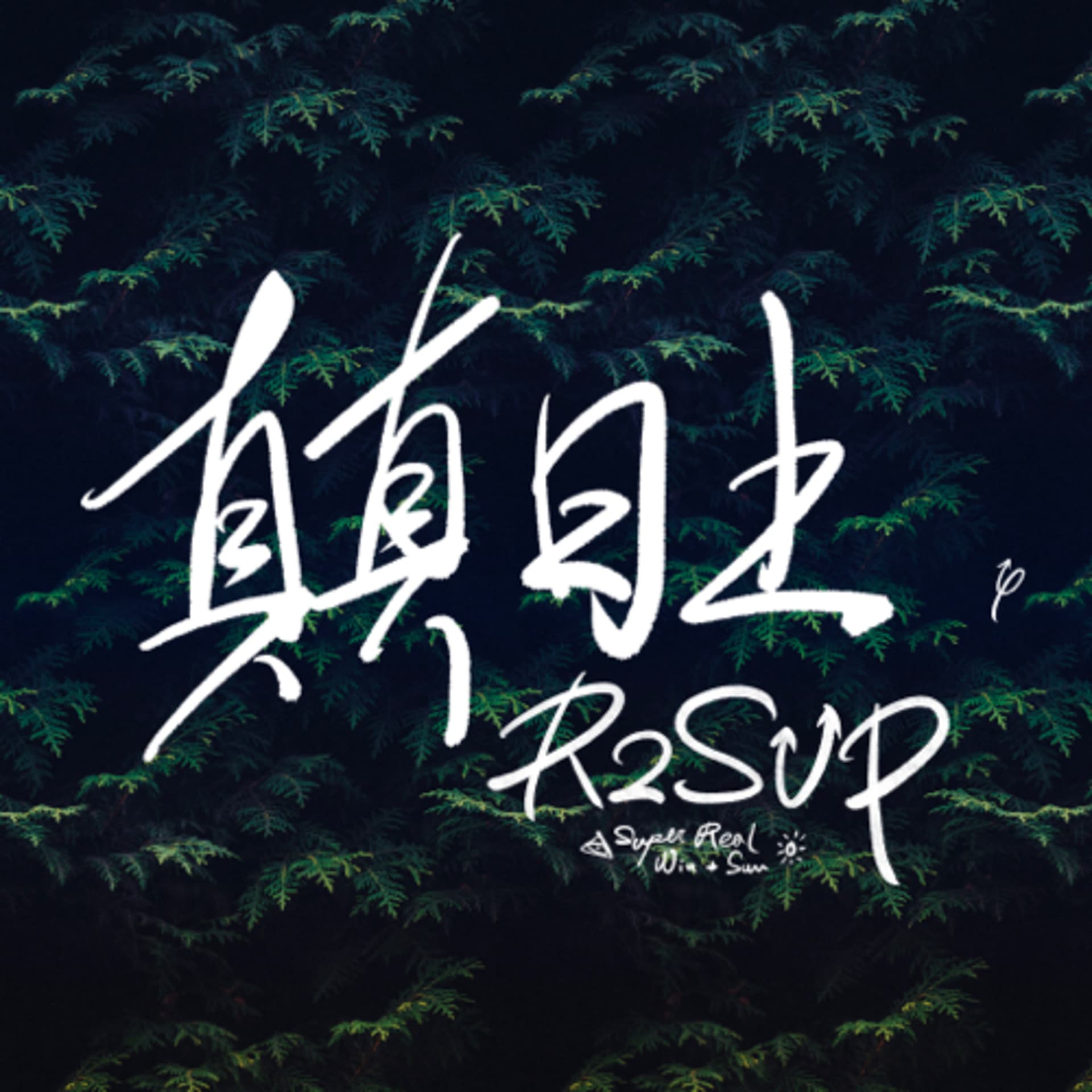 真真日上 R2SUP