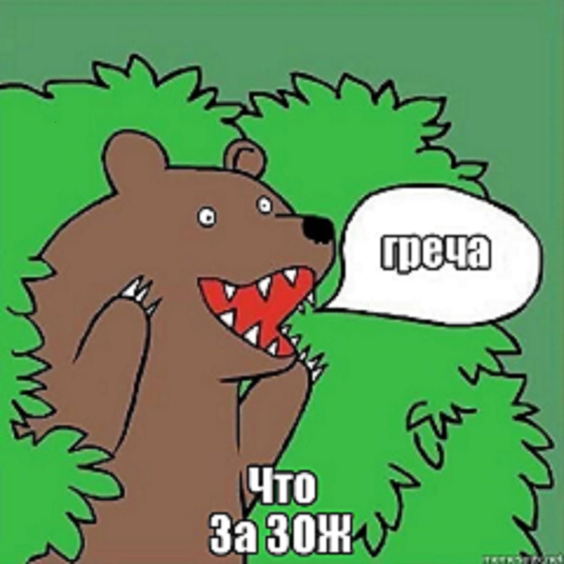 Что за ЗОЖ - Podcasts