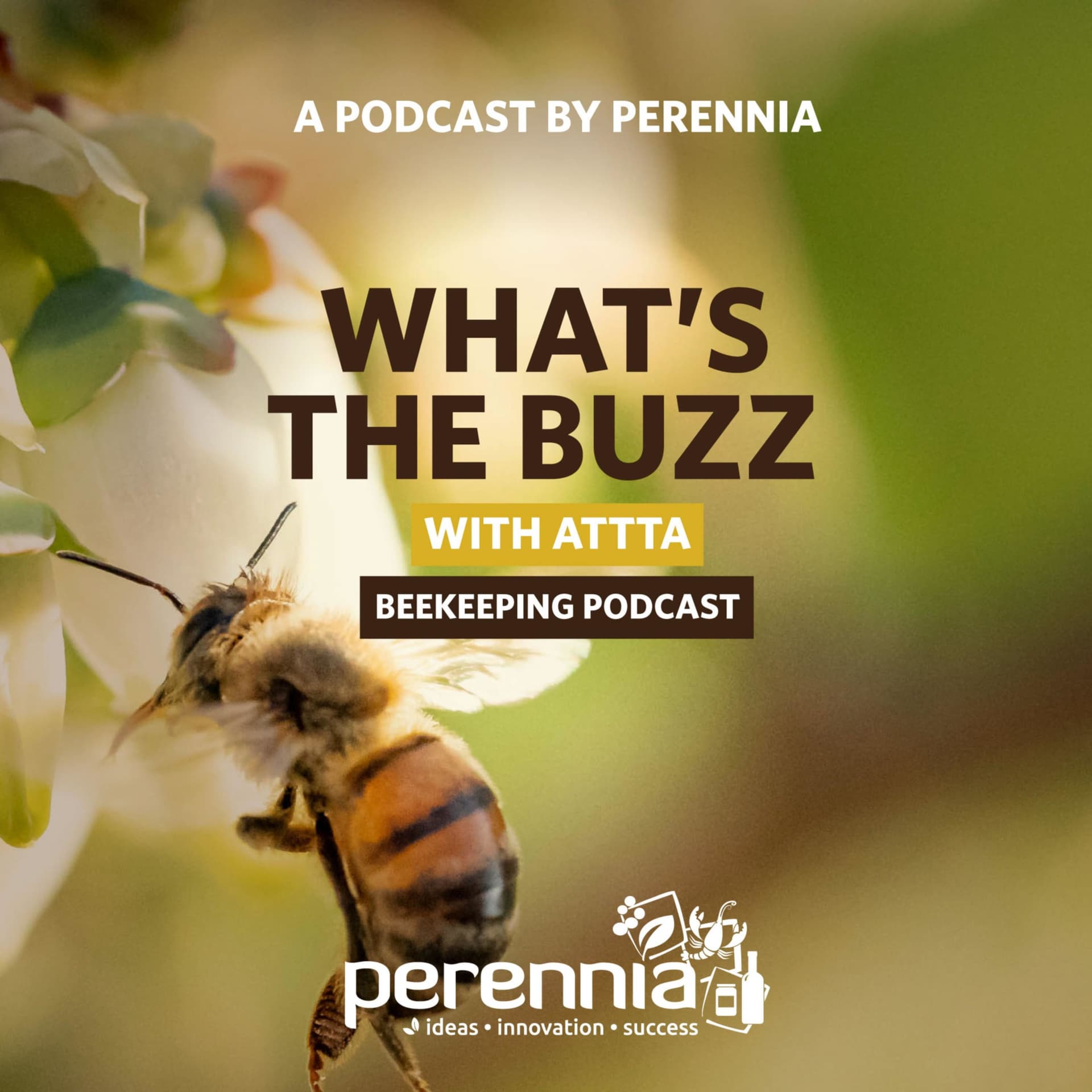 What’s the Buzz with ATTTA Beekeeping Podcast - Podcasts