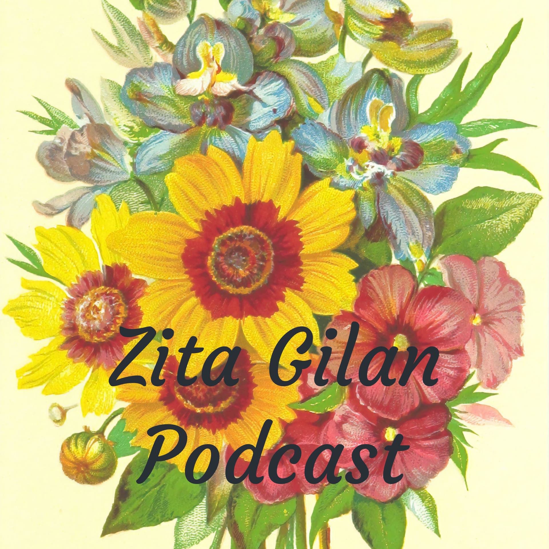Zita Gilan Podcast - Podcasts