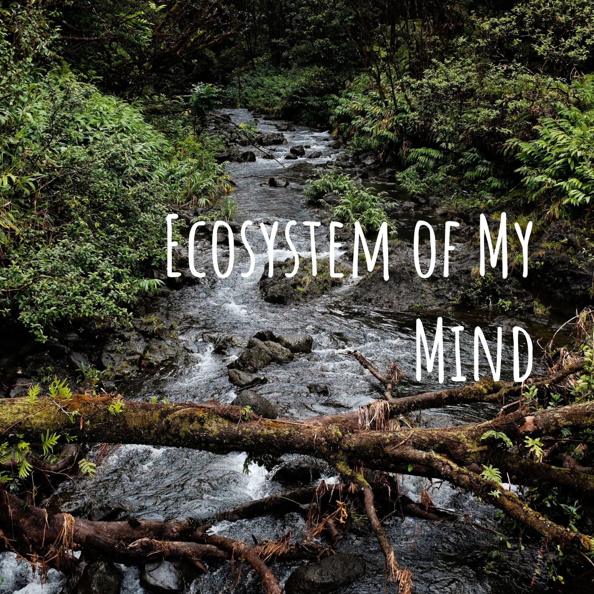 Ecosystem of My Mind - Podcasts