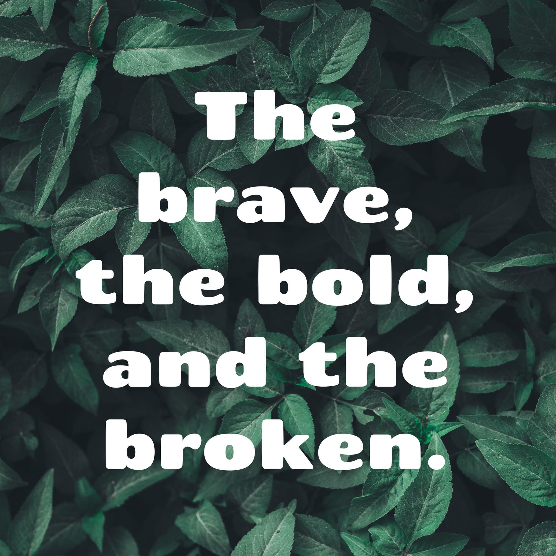 The brave, the bold, and the broken. - Podcasts