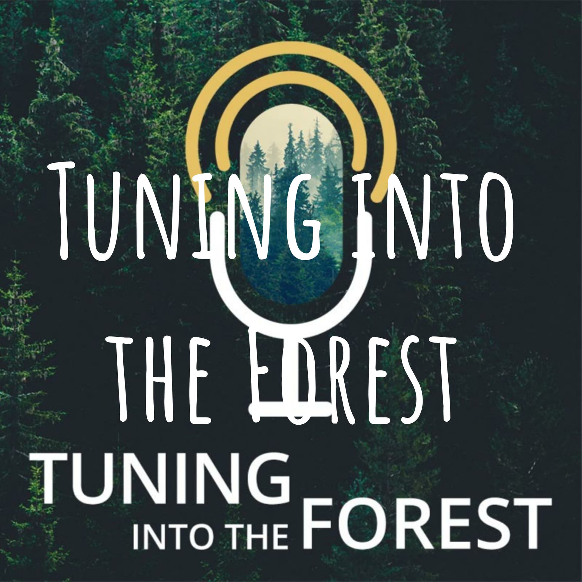 Tuning into the Forest - Podcasts