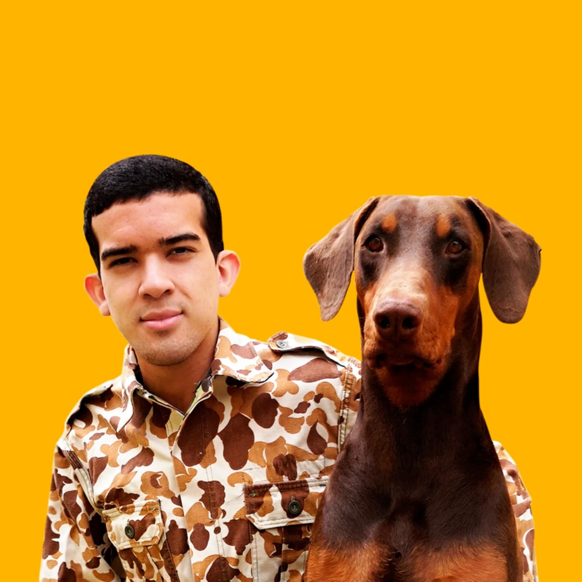 Cão Funcional - Podcasts