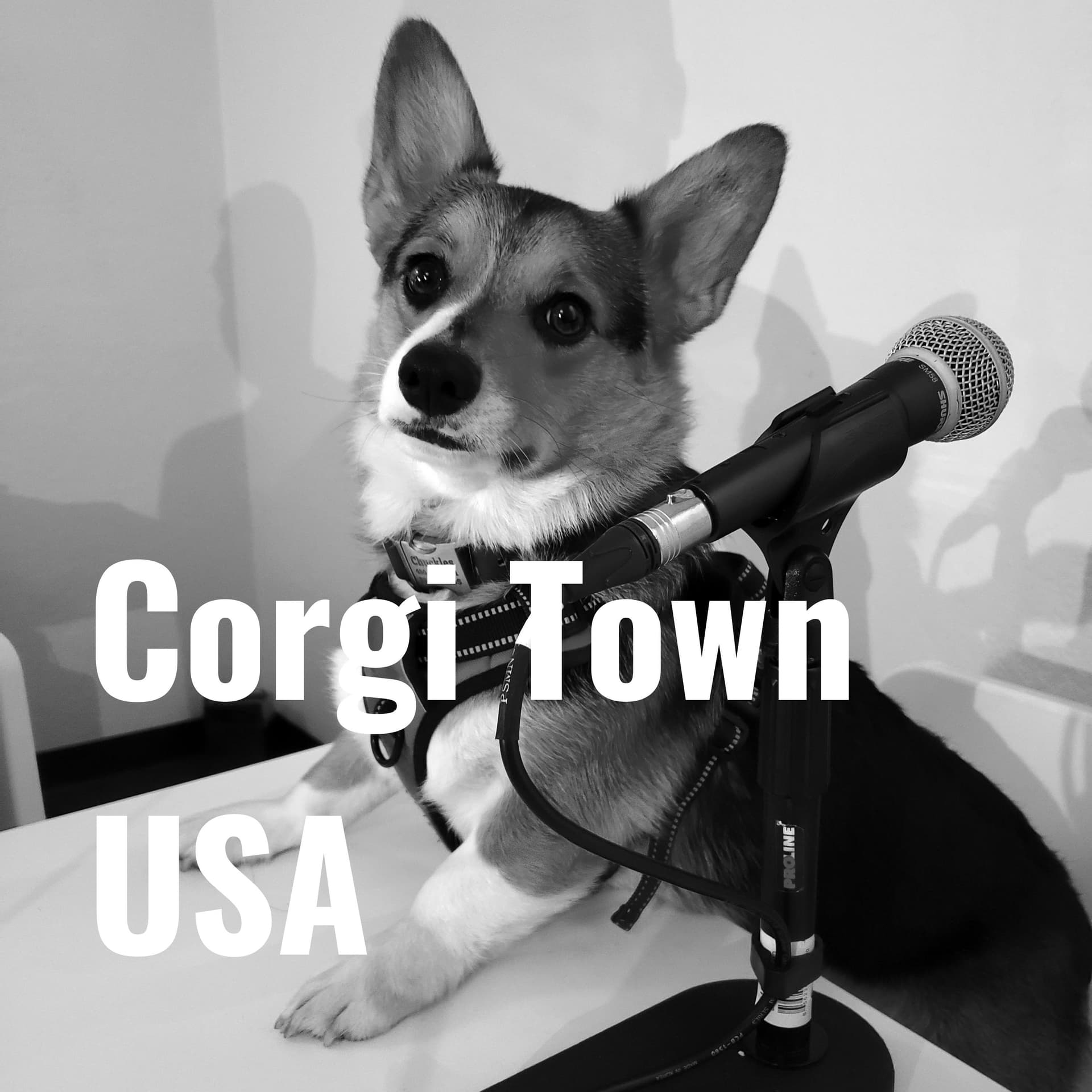 Corgi Town USA - Podcasts