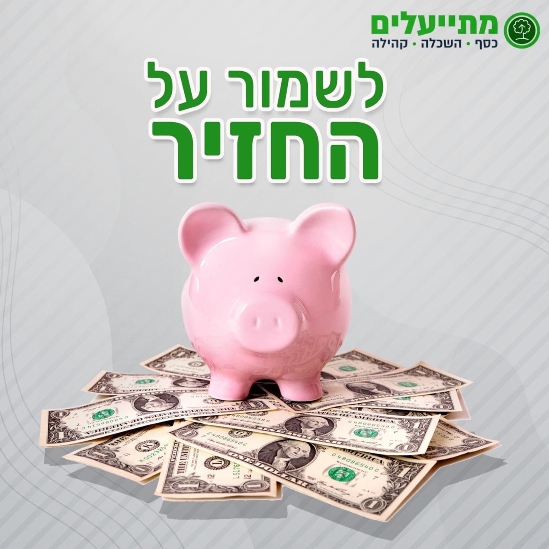 לשמור על החזיר - עמותת מתייעלים - Podcasts