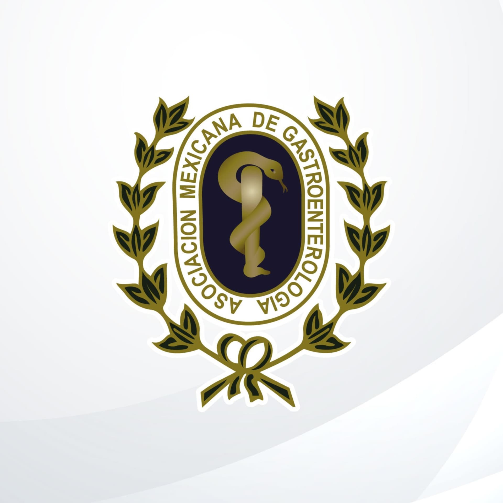 Gastro Perlas AMG - Podcasts
