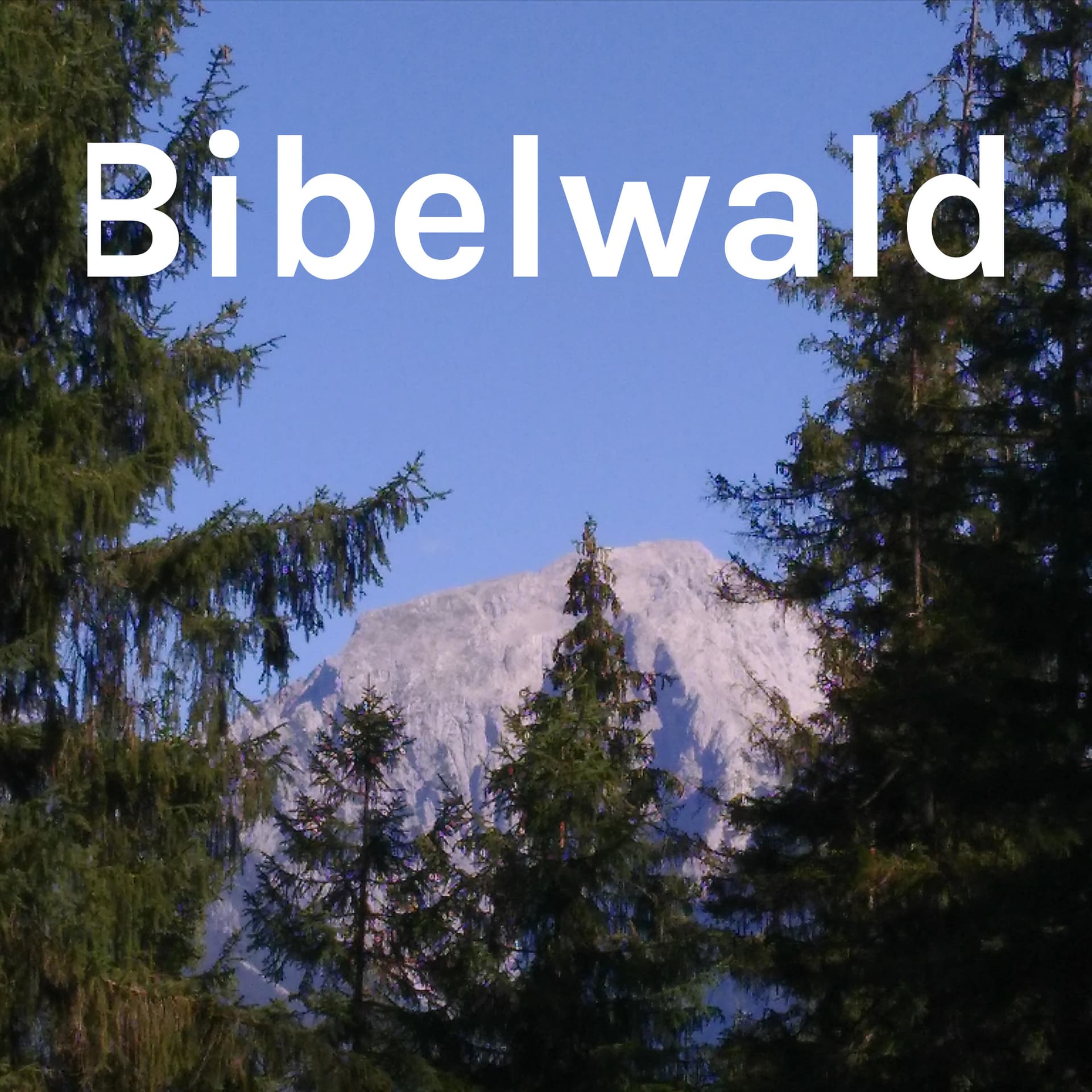 Bibelwald - Podcasts