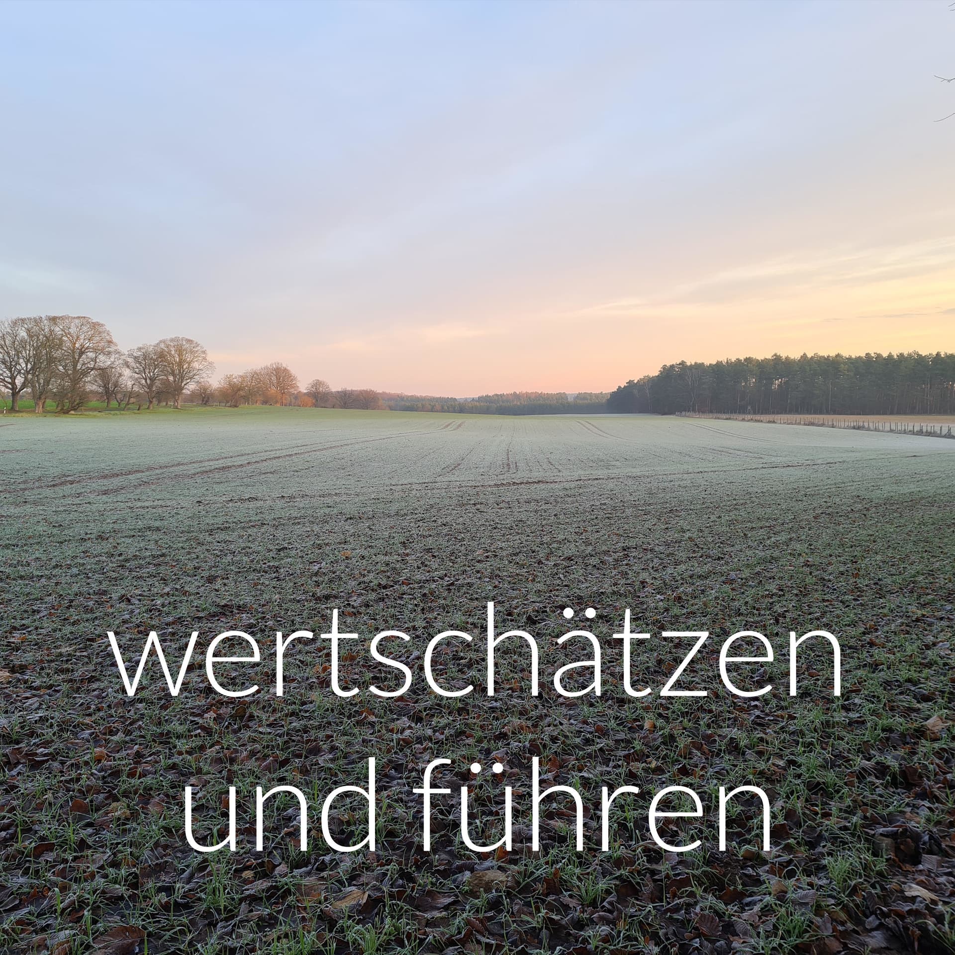 wertschätzen und führen - die volle Verantwortung - Podcasts