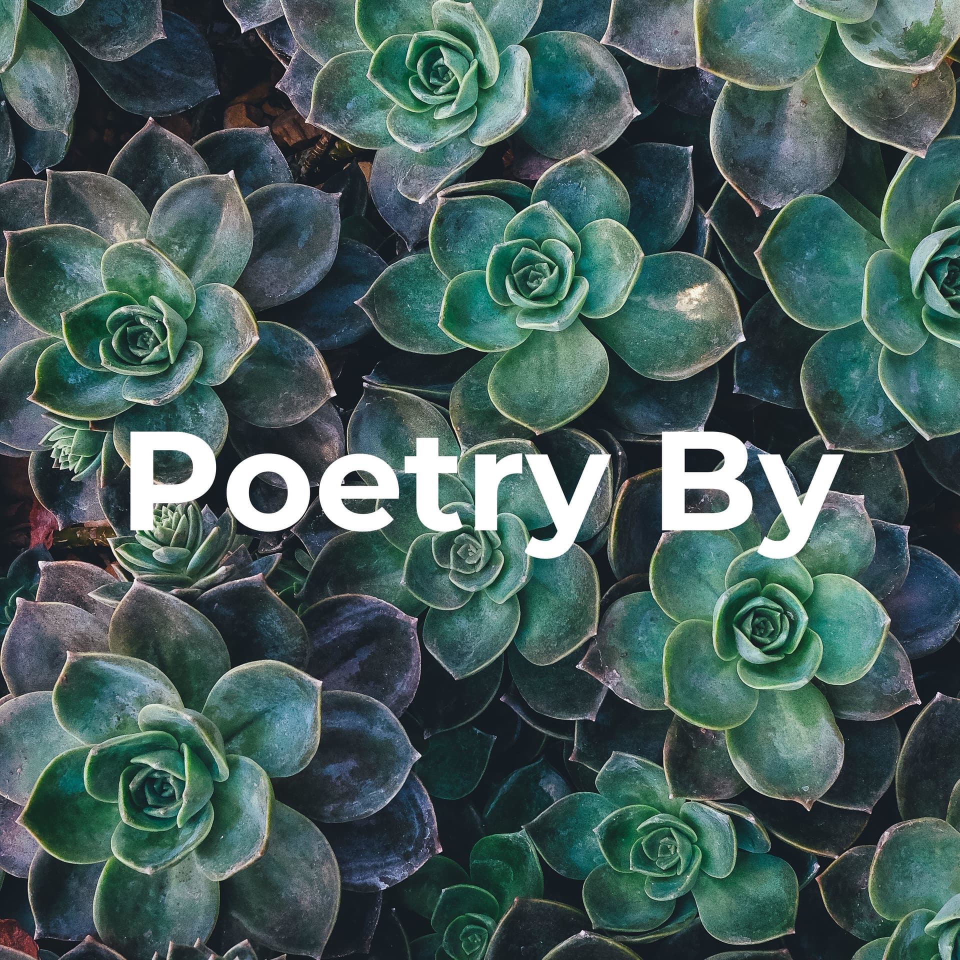 Poetry By - Ankit - Podcasts