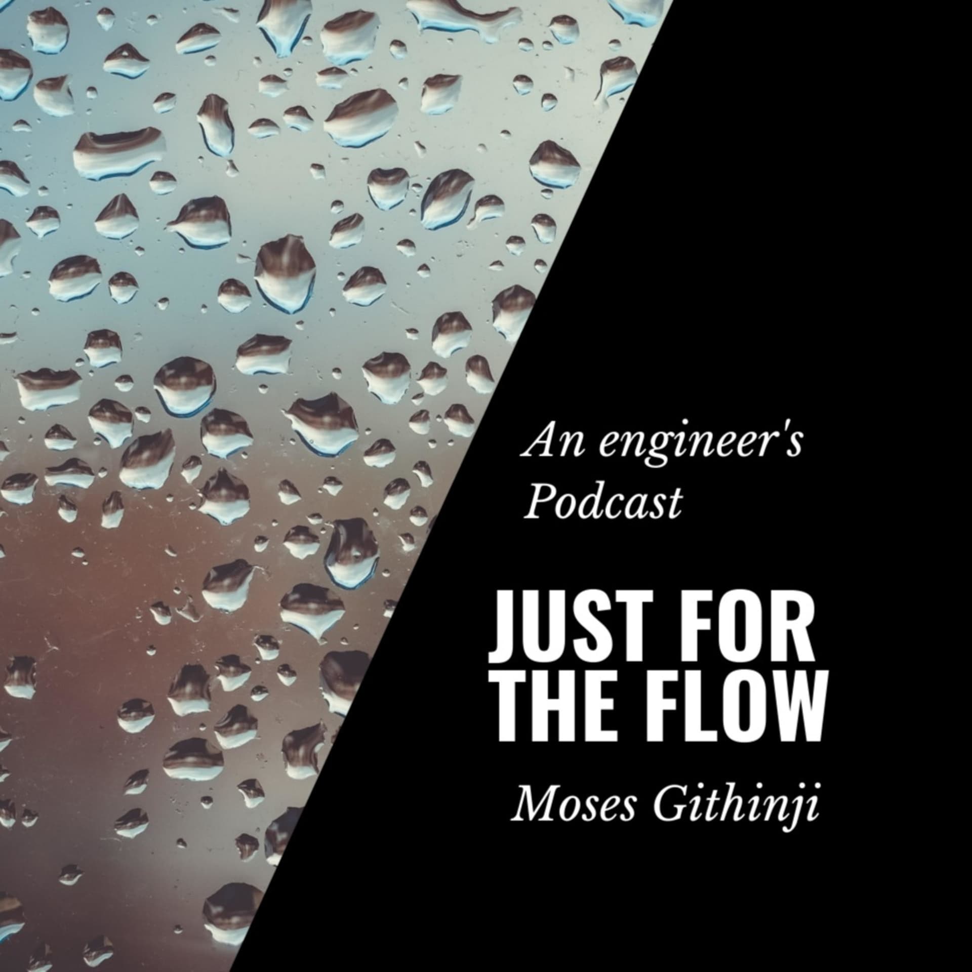 Just For The Flow Engineeringpod - Podcasts