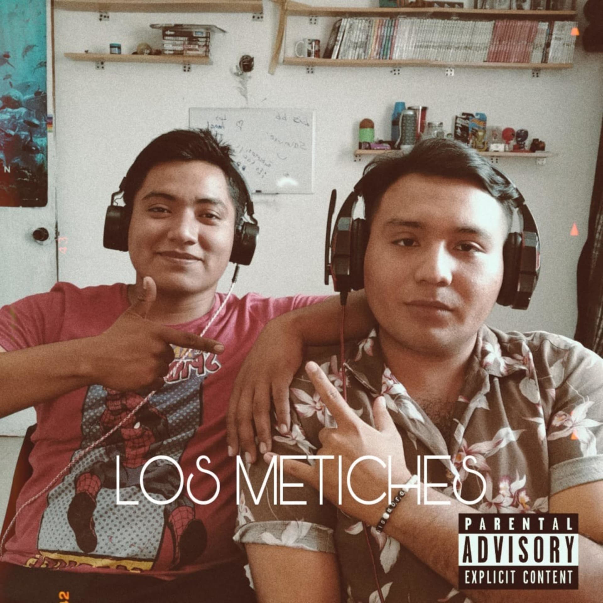 LOS METICHES - Podcasts