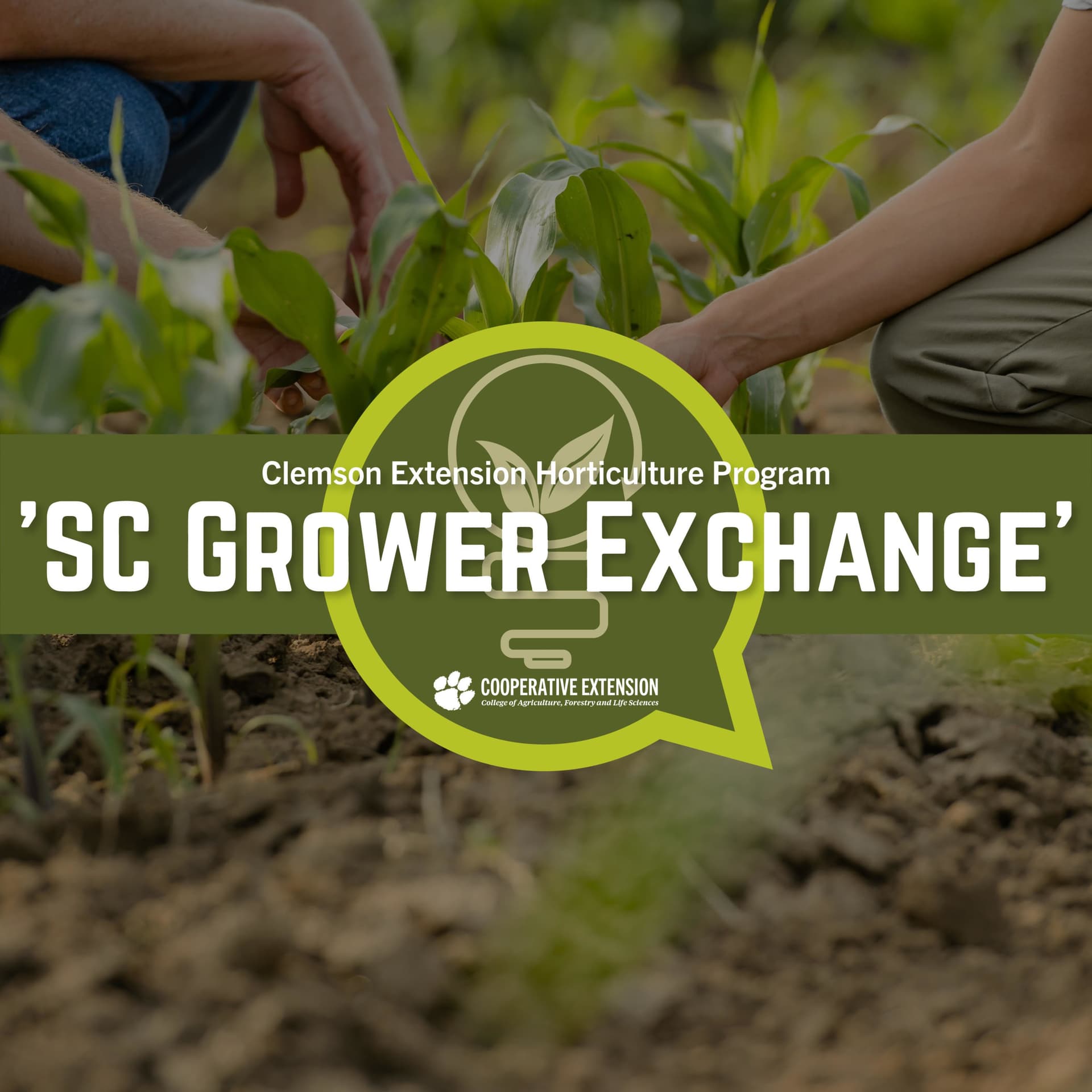 The SC Grower Exchange Podcast - Podcasts