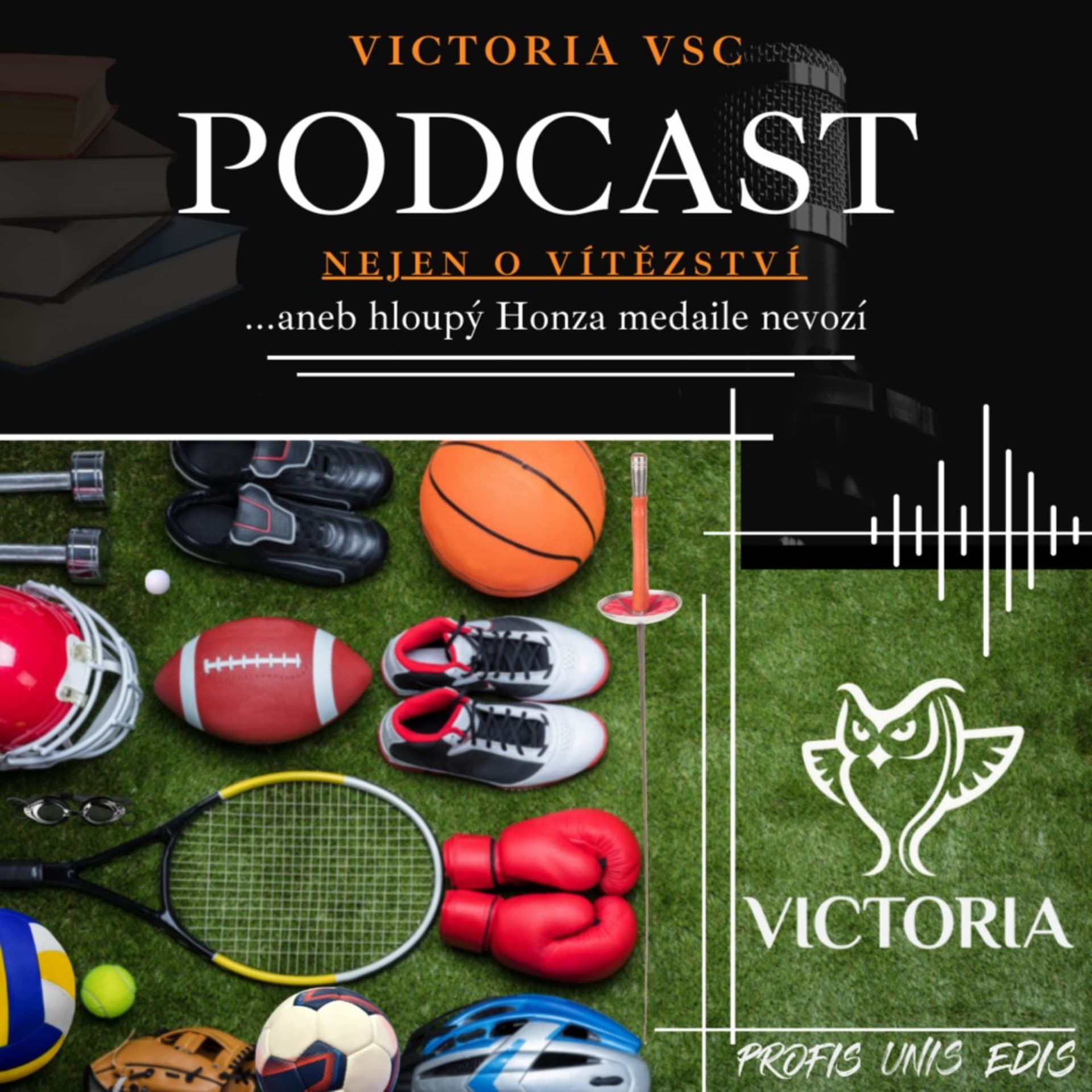 Nejen o vítězství - Podcasts