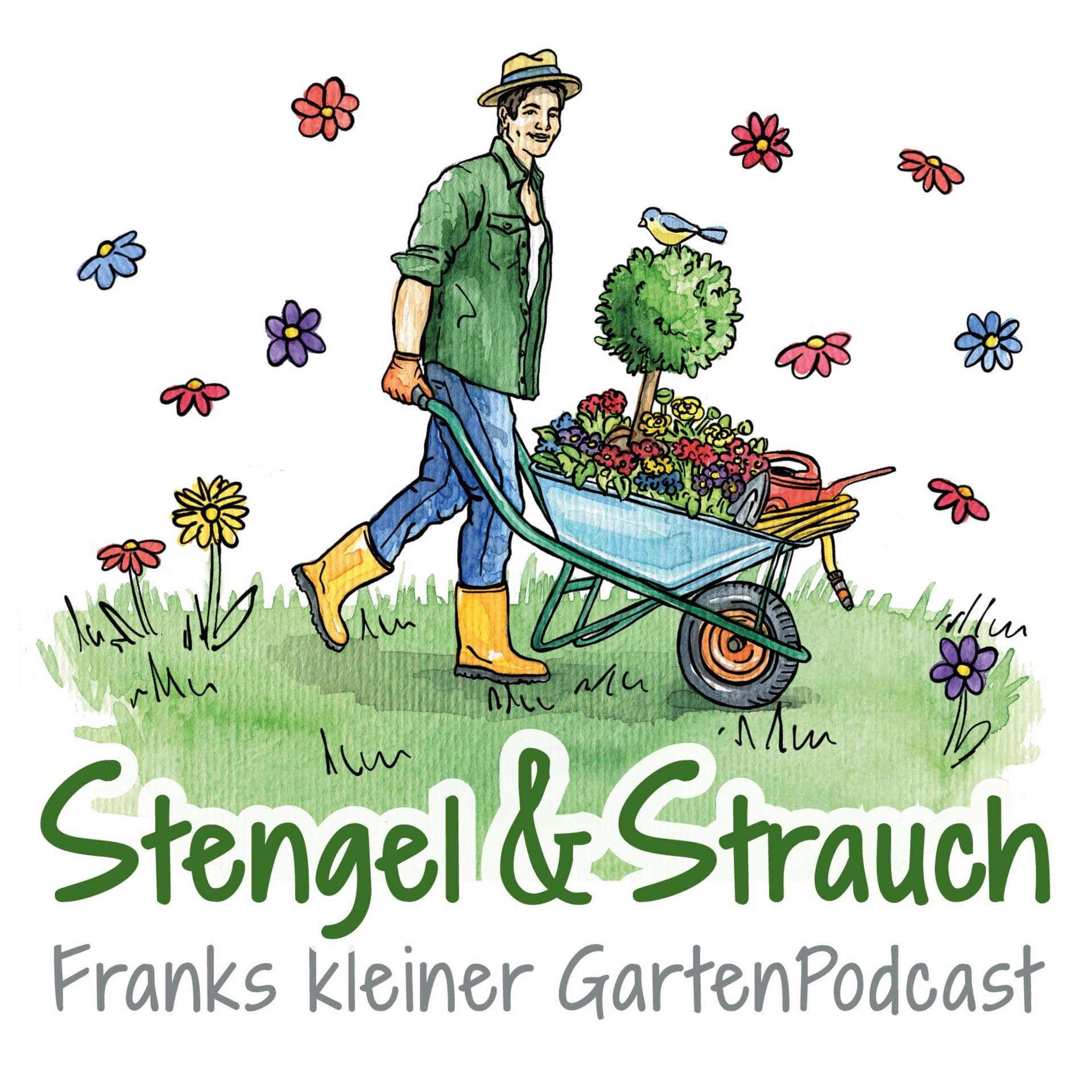 Stengel & Strauch – Der GartenPodcast - Podcasts