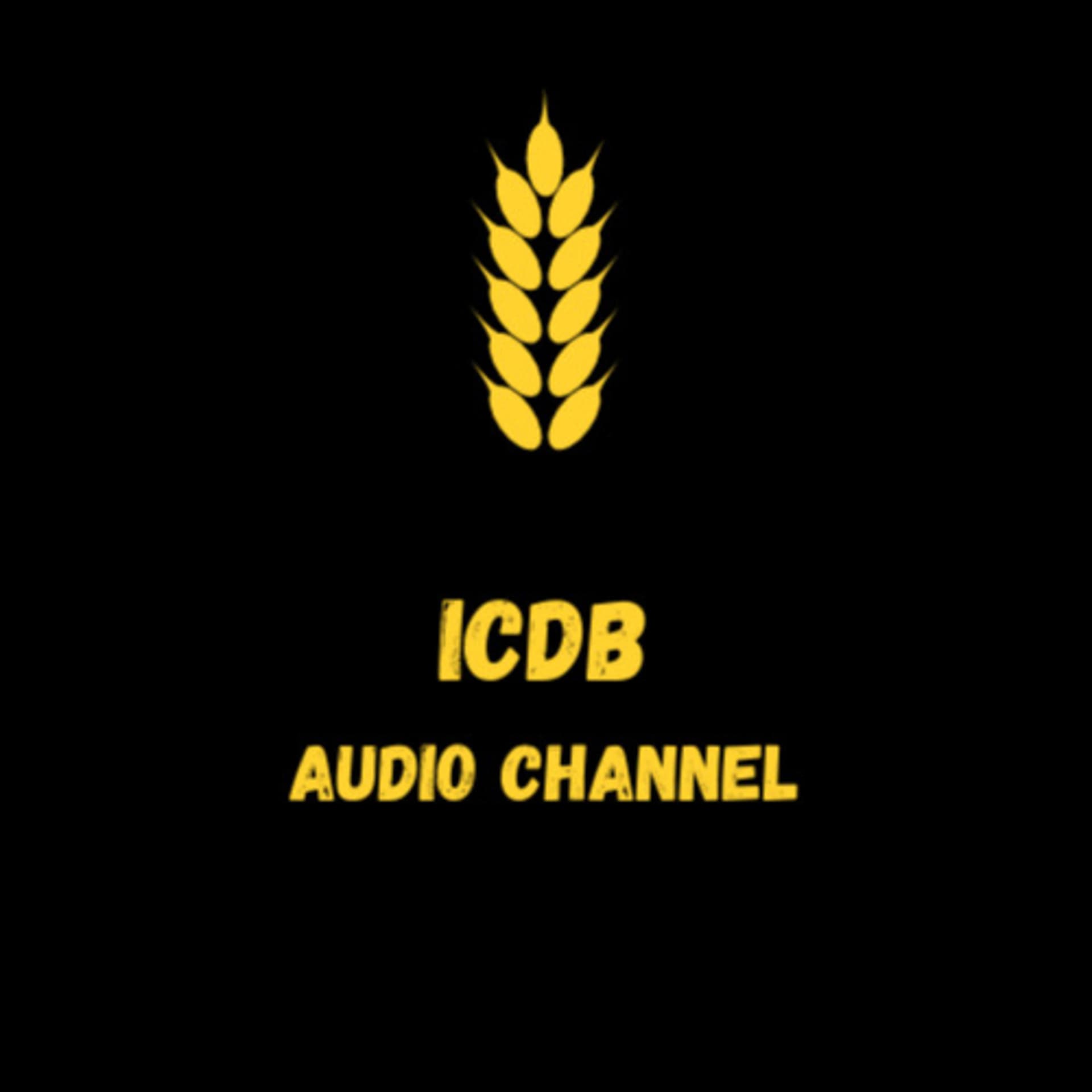ICDB Audio Channel