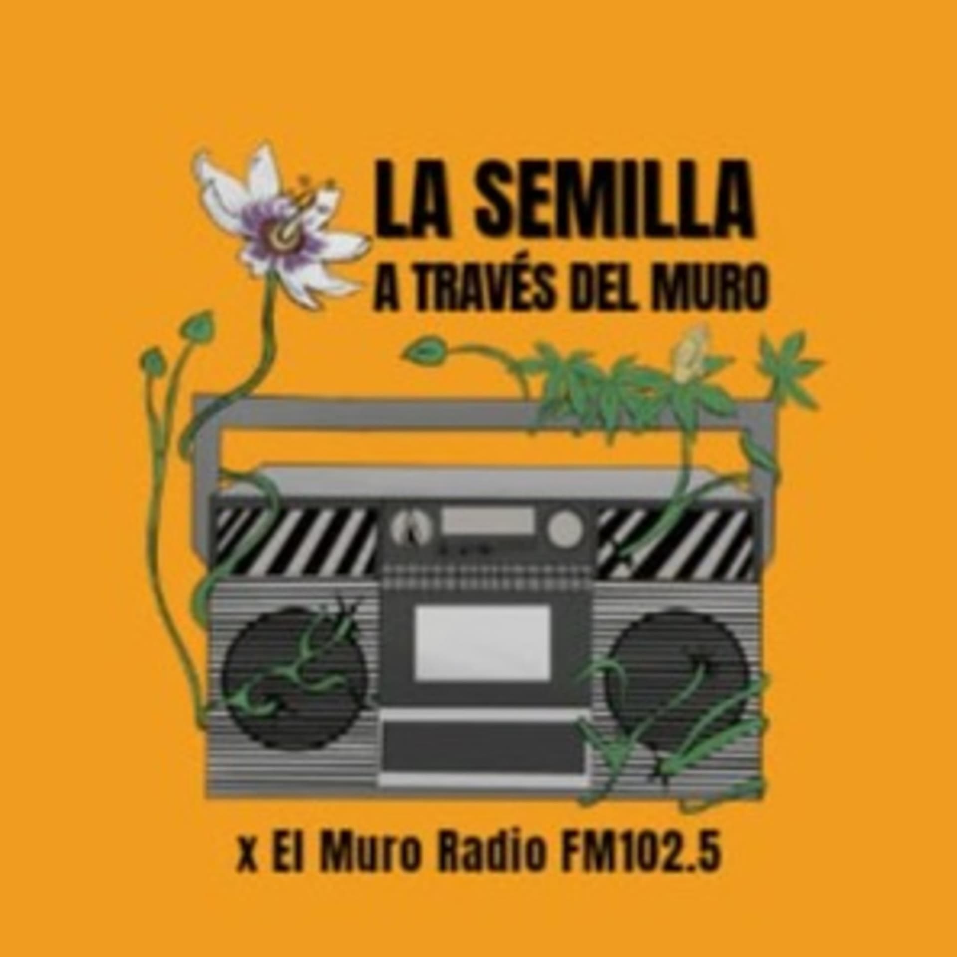 La Semilla a través del Muro - Podcasts