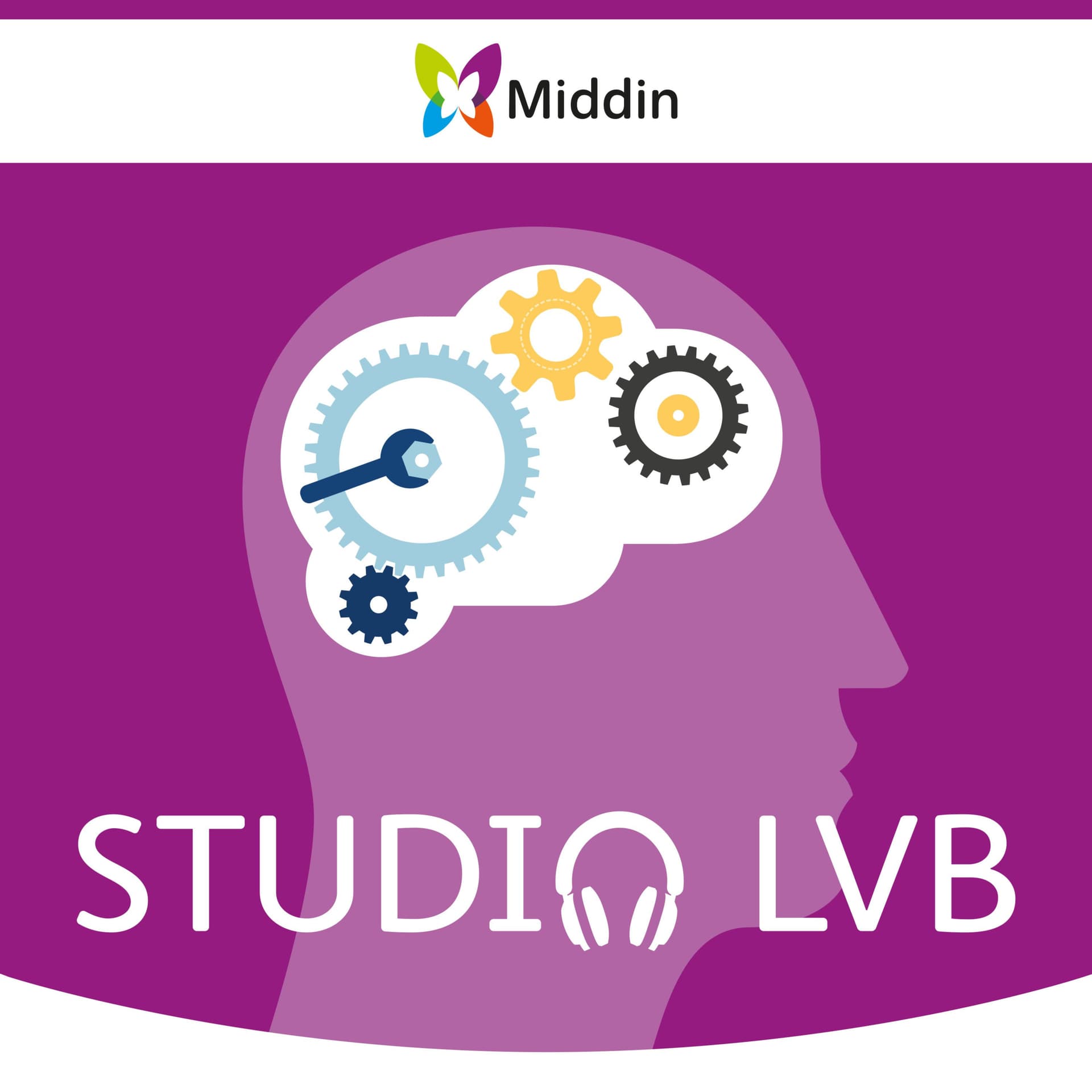 Studio LVB - Door Middin - Podcasts