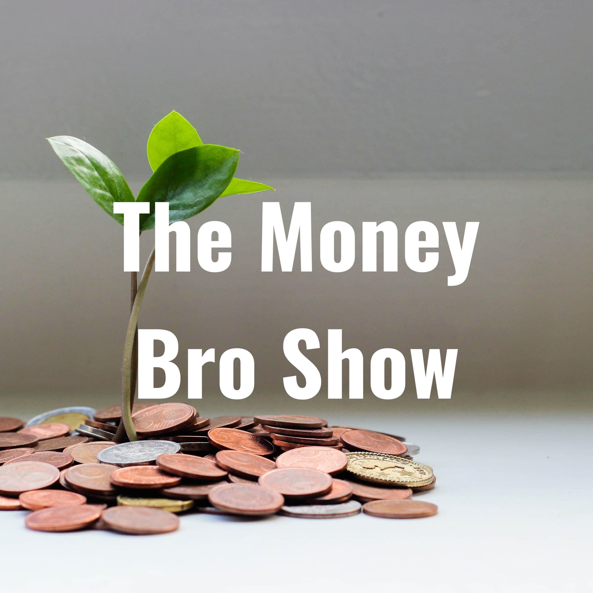 Money Bro Business - Podcasts