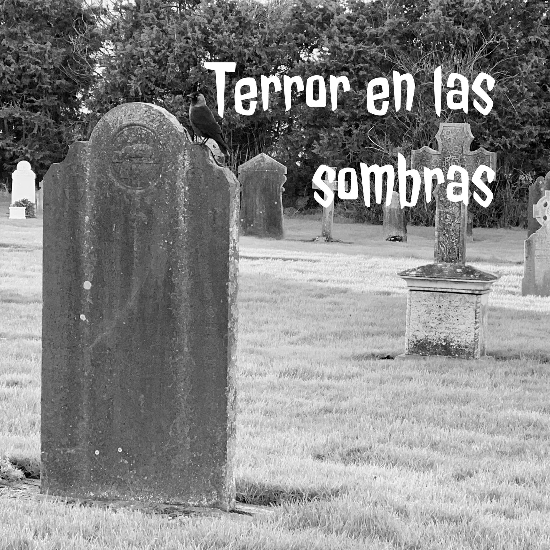 Terror en las sombras - Podcasts