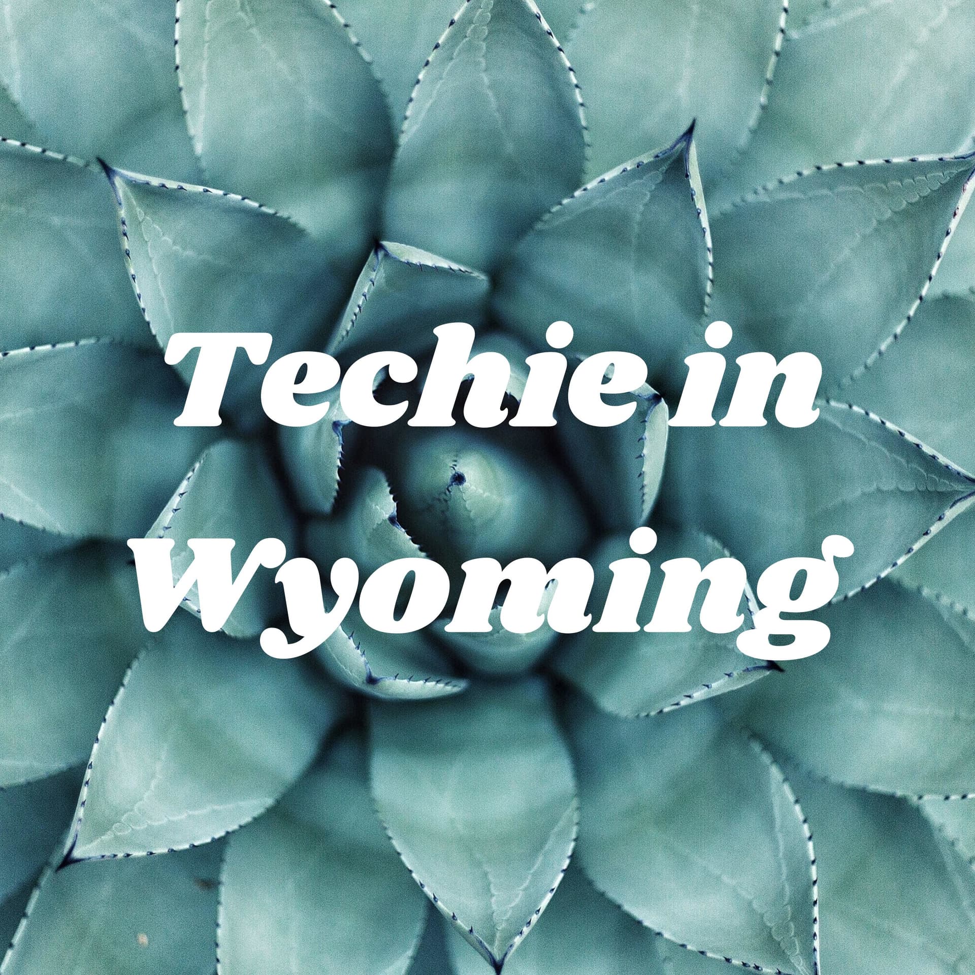 Techie in Wyoming