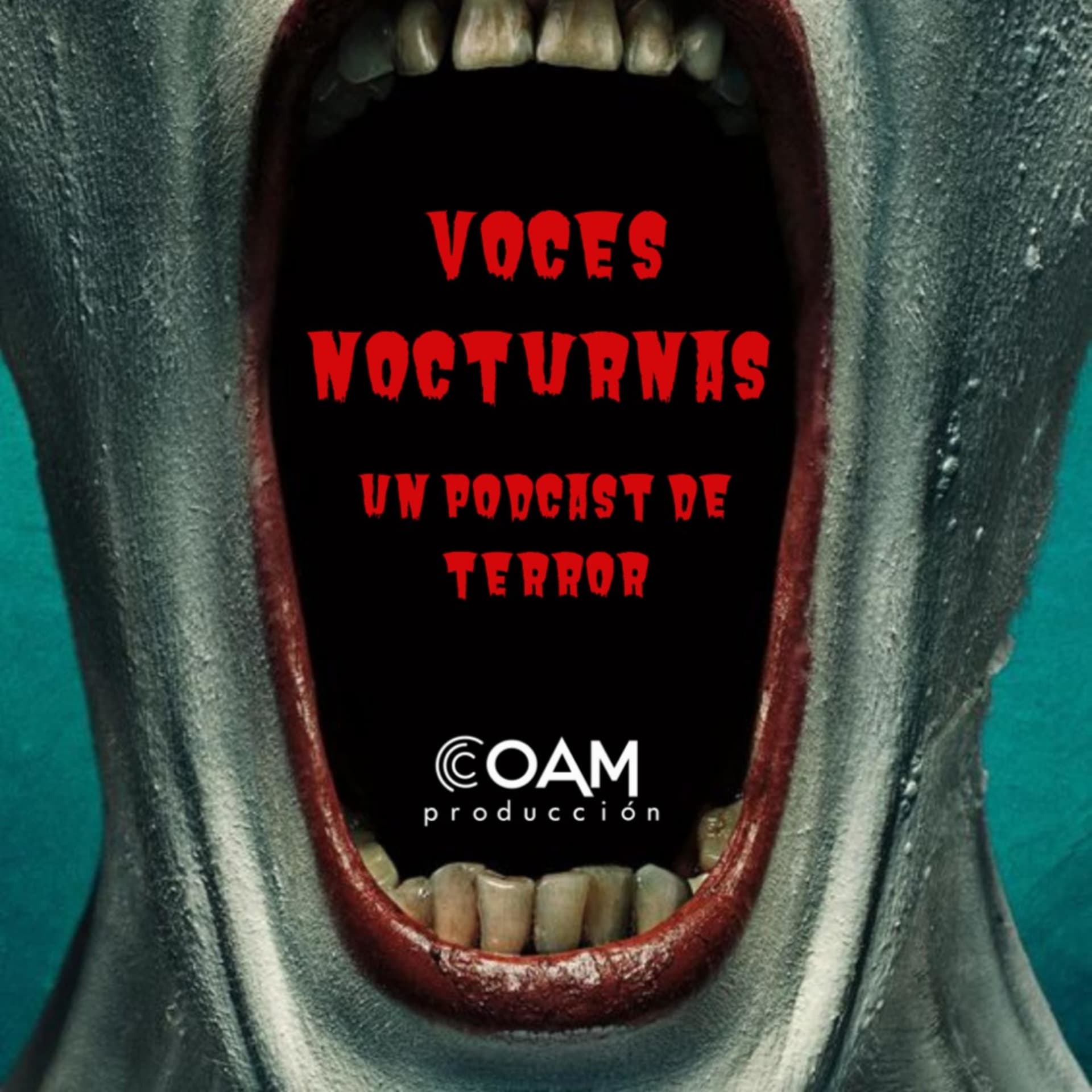 VOCES NOCTURNAS - Podcasts