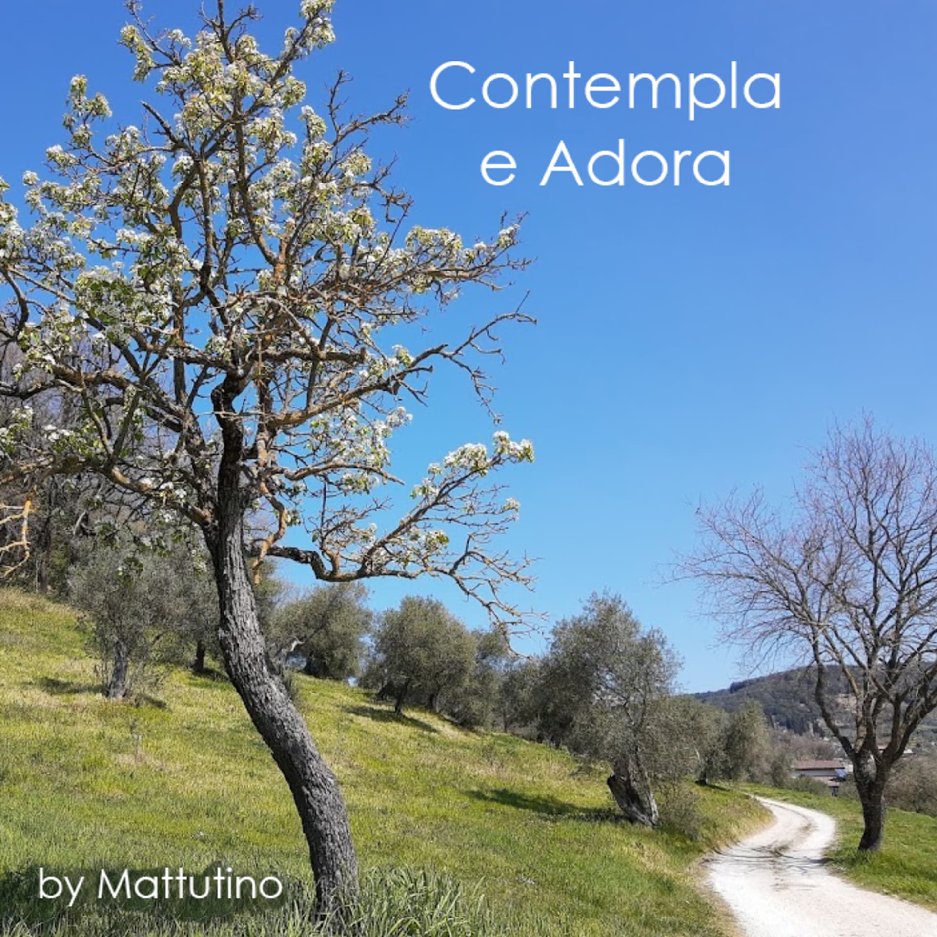 Contempla e adora - Podcasts