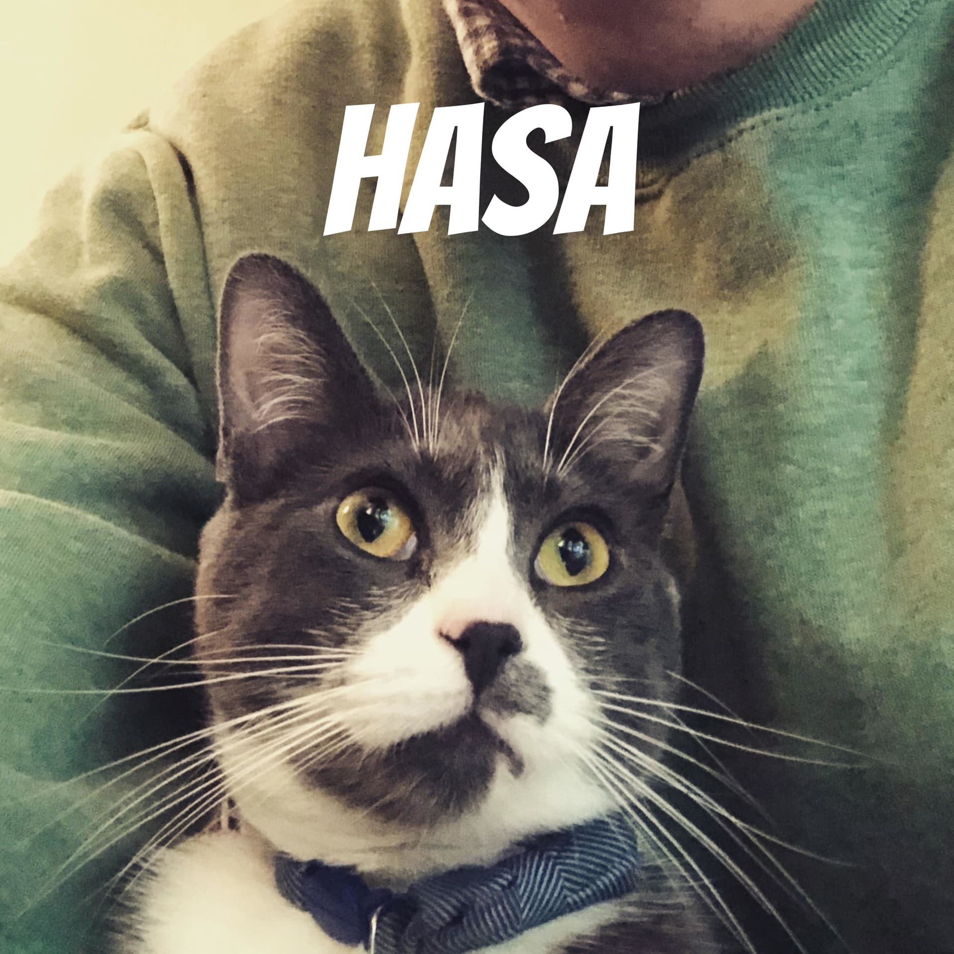 Hasa菜鳥新移民 - Podcasts